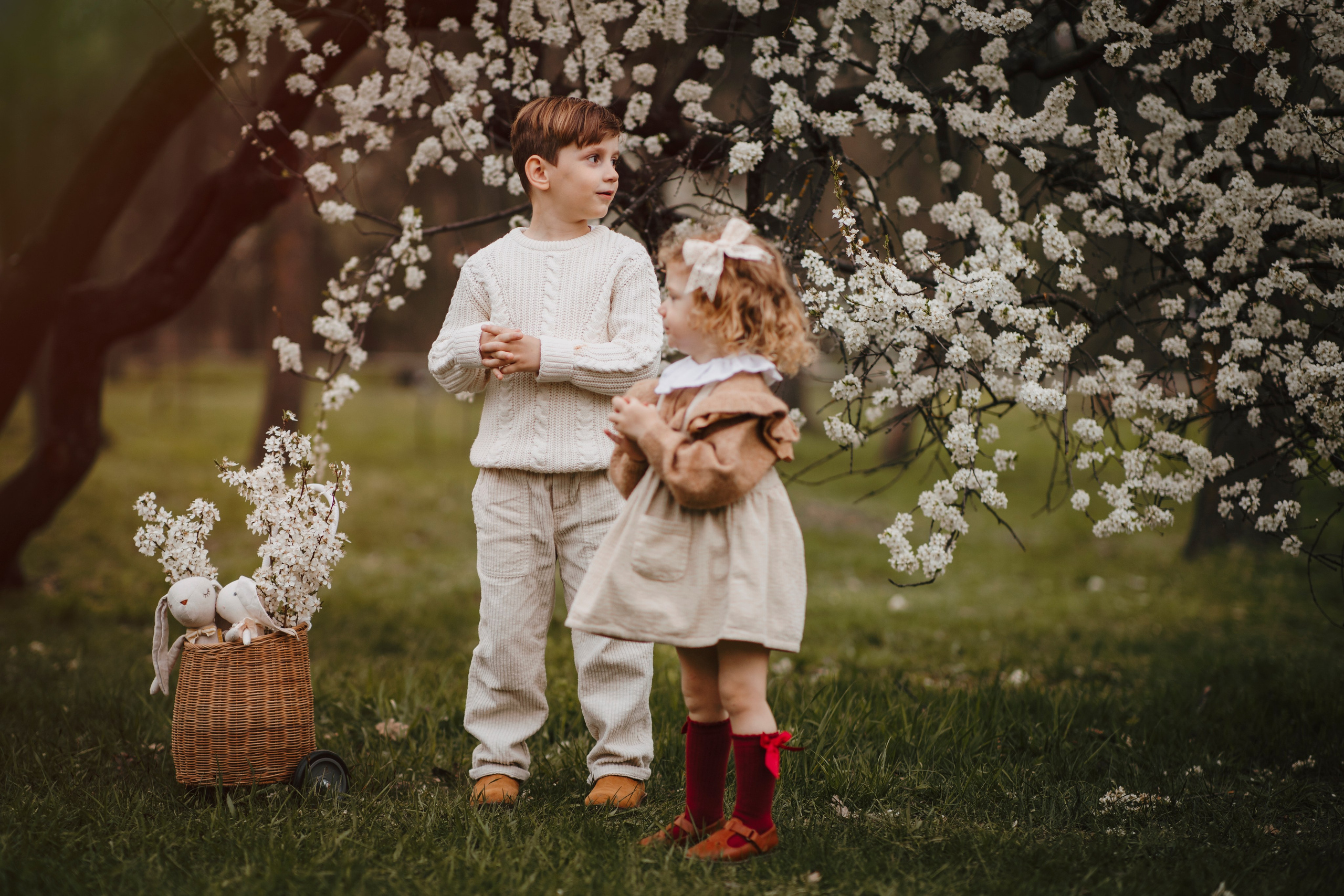 Sofia & Darius. Fotograf de eveniment din Buzău | Bogdan