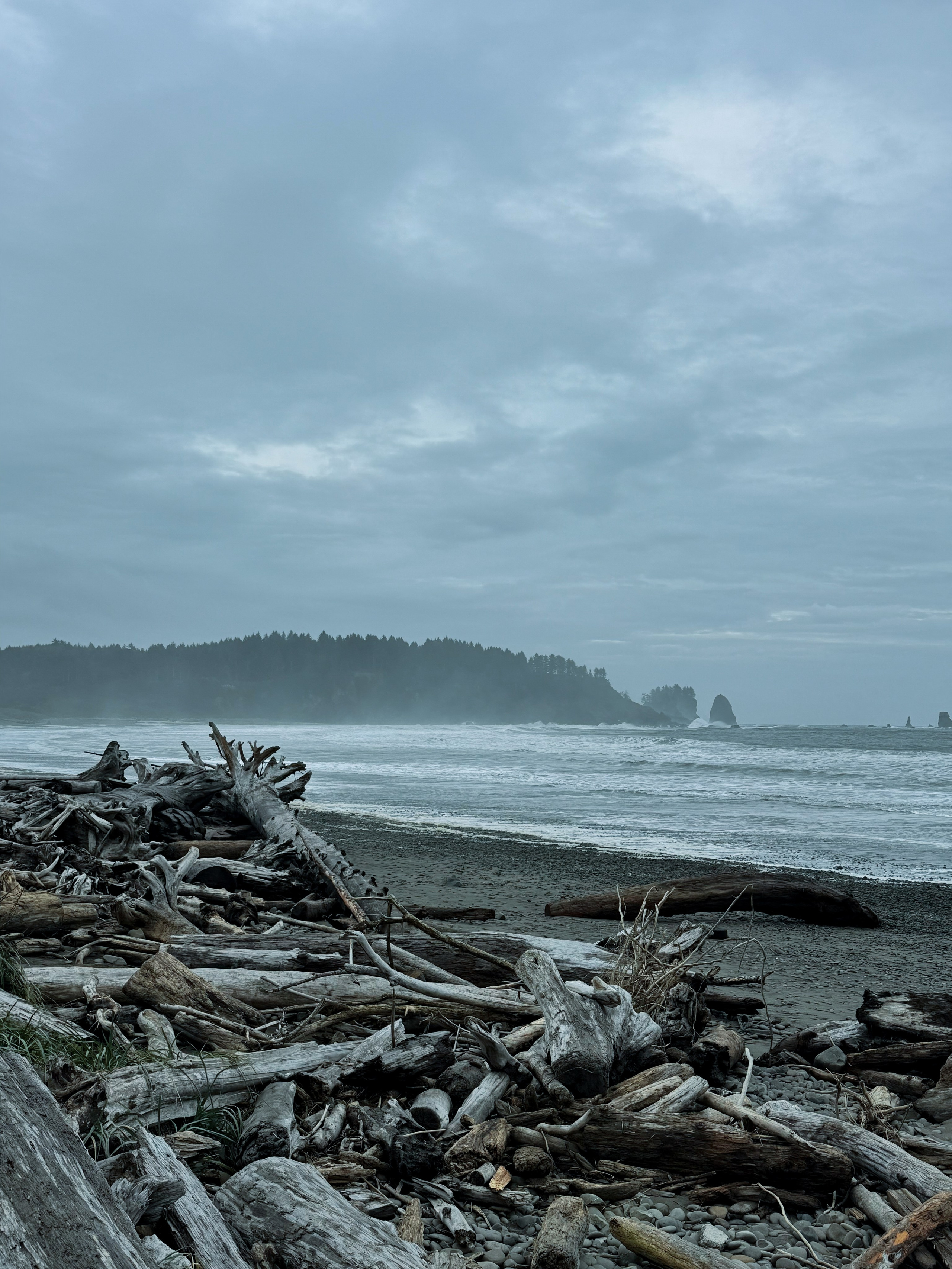 Twilight | Wallpapers. Photographer in Los Angeles. Julia Ishmuratova