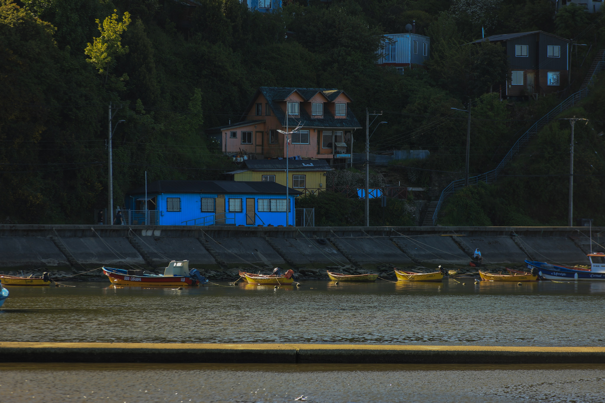 PATAGONIE. Photographe Karen Tatevosian