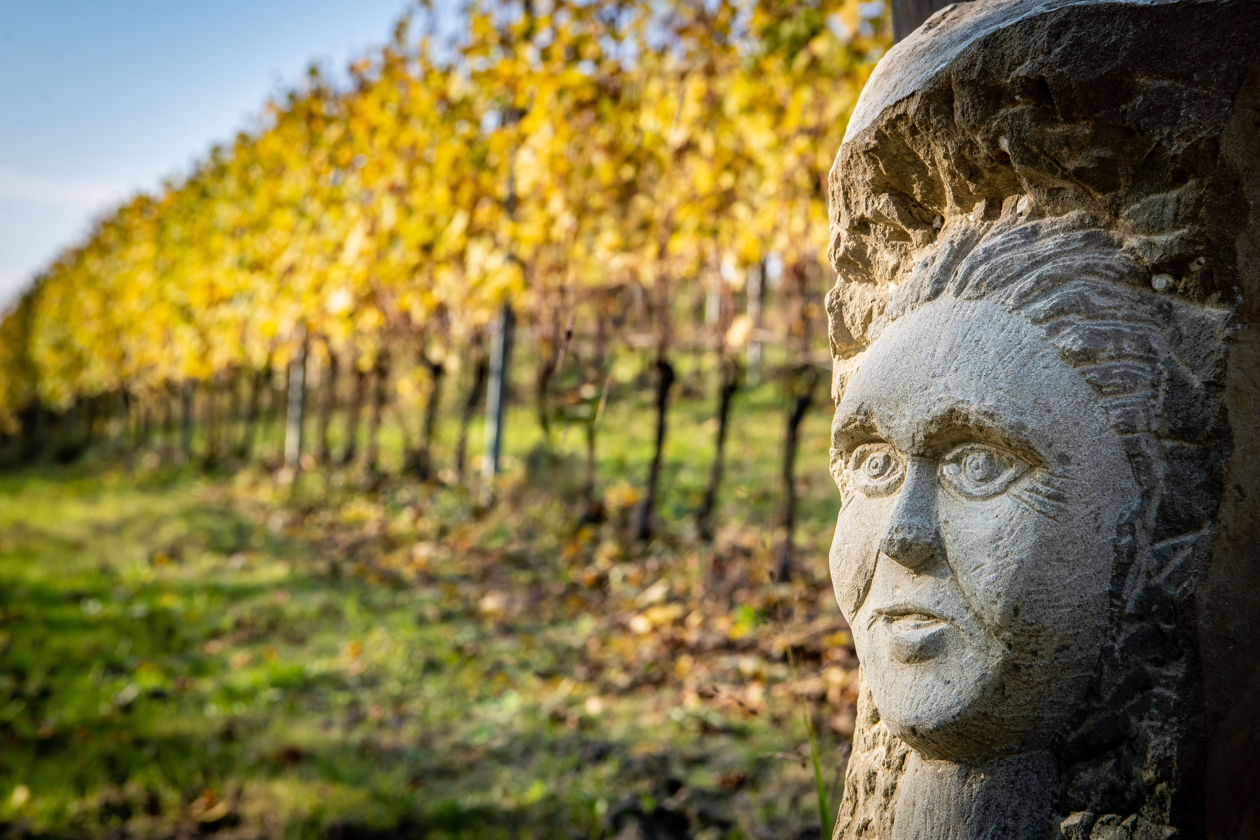 Langhe. “Gianmaria Coscia fotografo per passione”