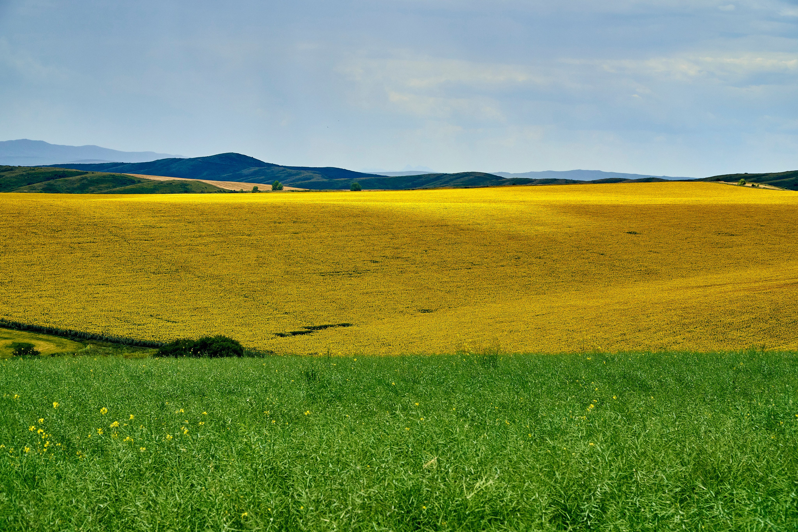 Buchtarma (Kazachstan). Andriej Szypilow - Fotografia & Wideografia