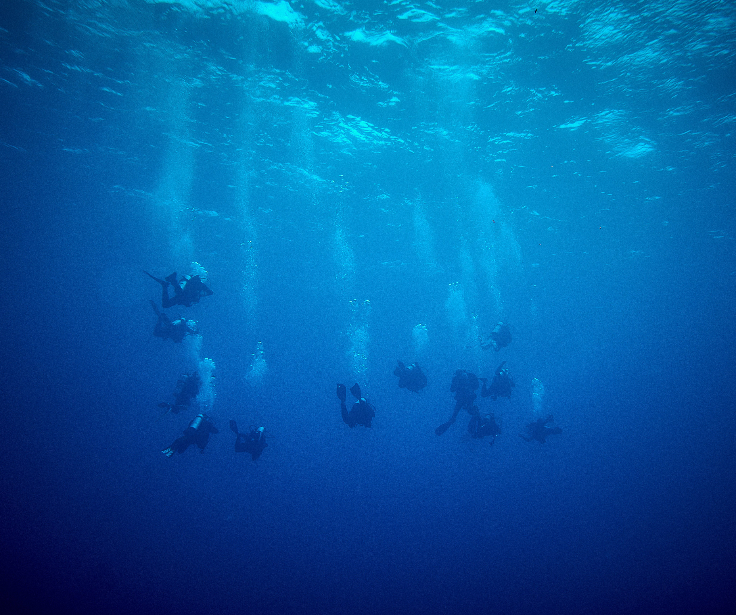 2023-11 - Diving Safari Deep South Egypt. Andriej Szypilow — Photography & Videography