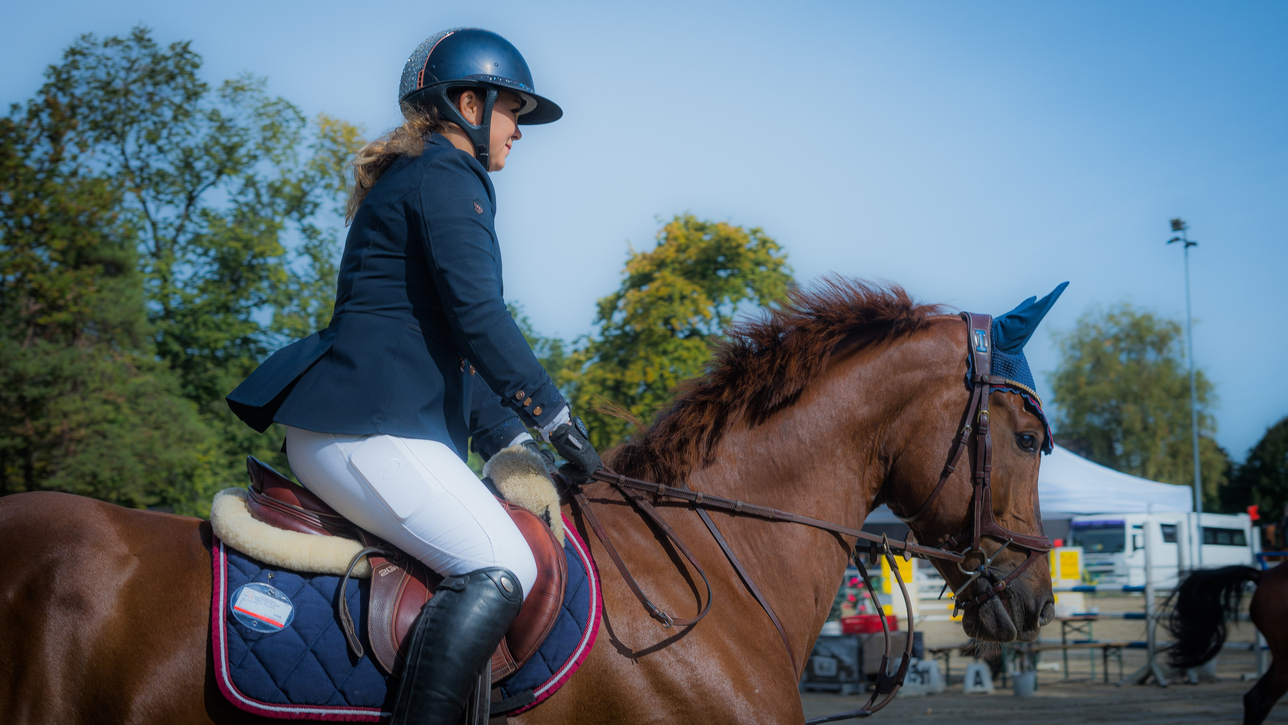 Equestrian Competition