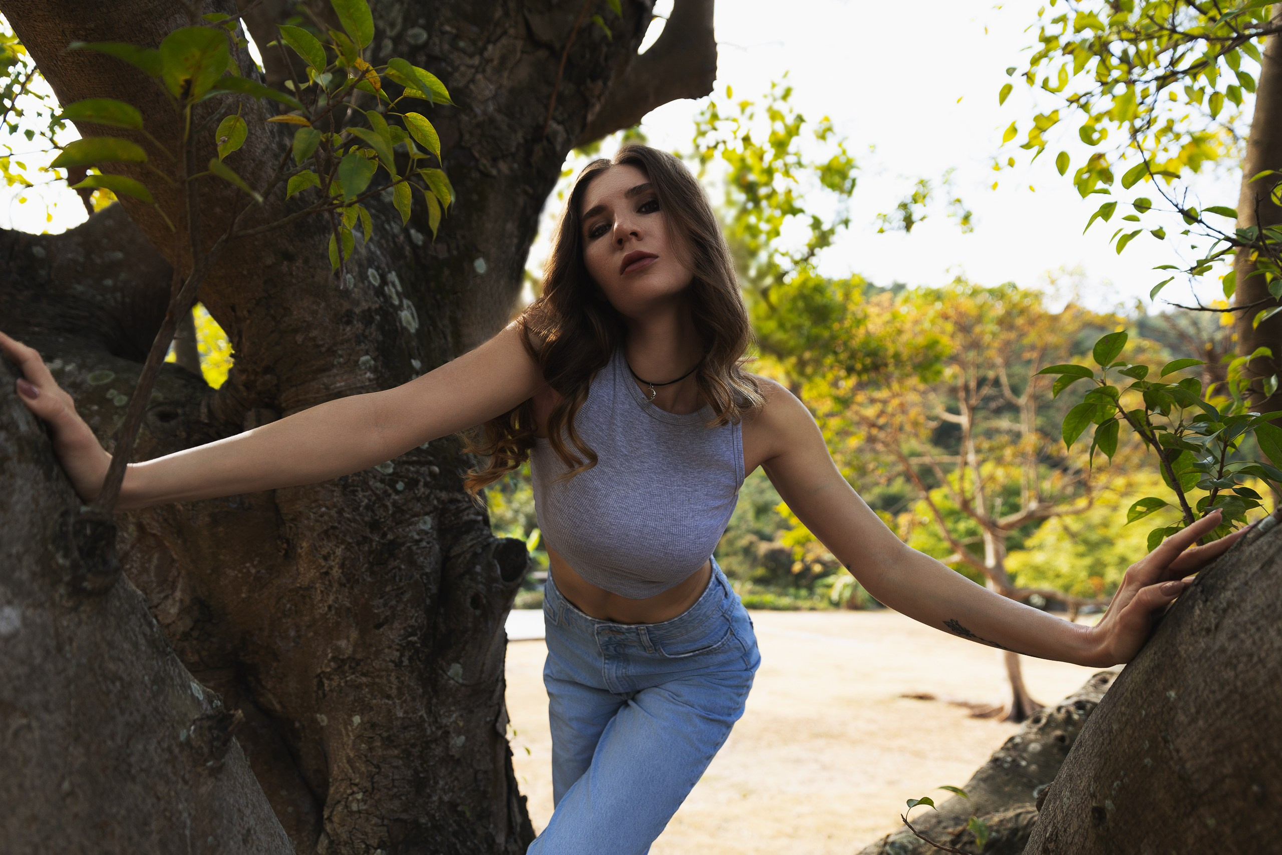 Diana morning in the forest