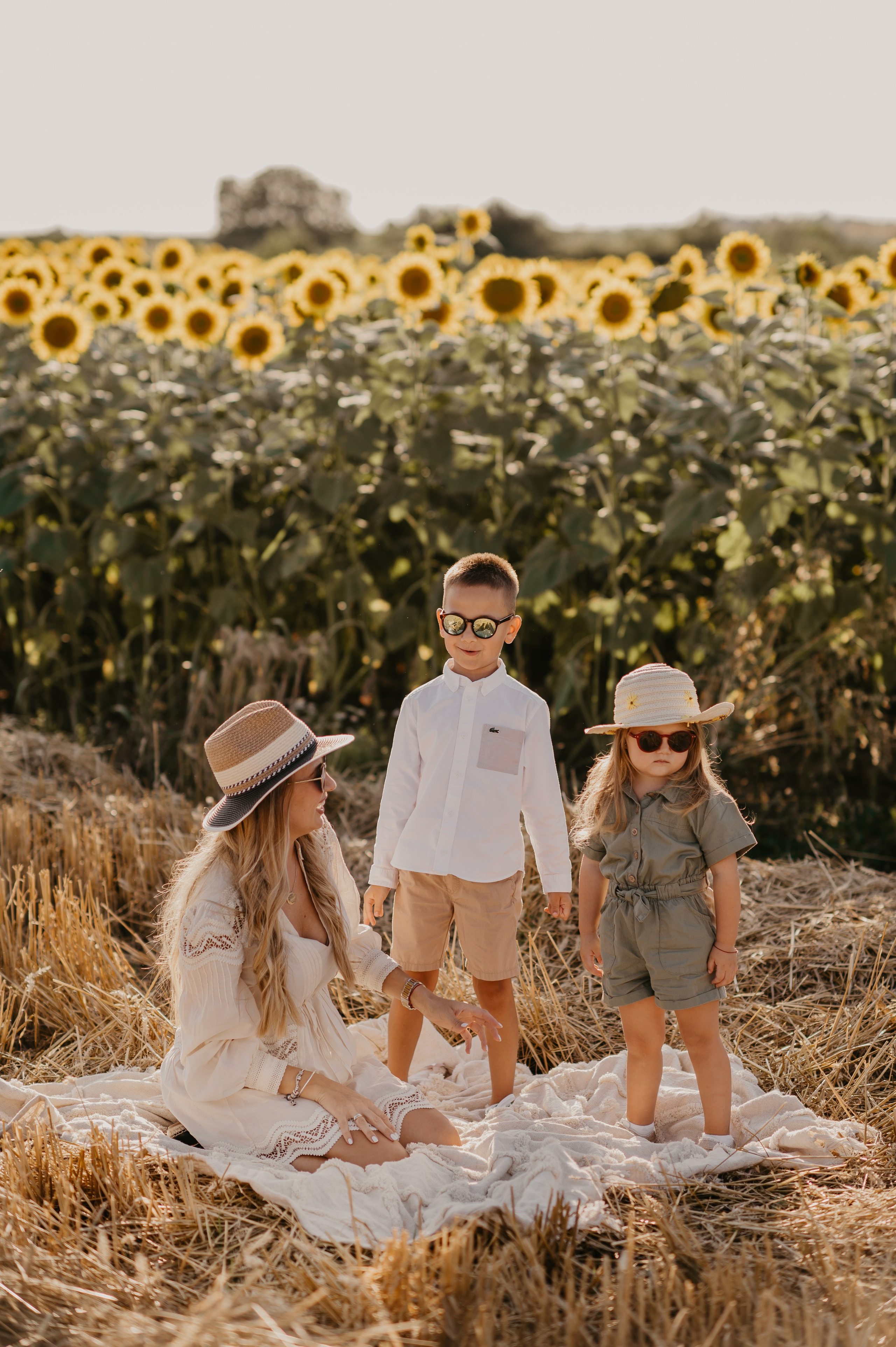 Polje suncokreta. Ana Sladojevic