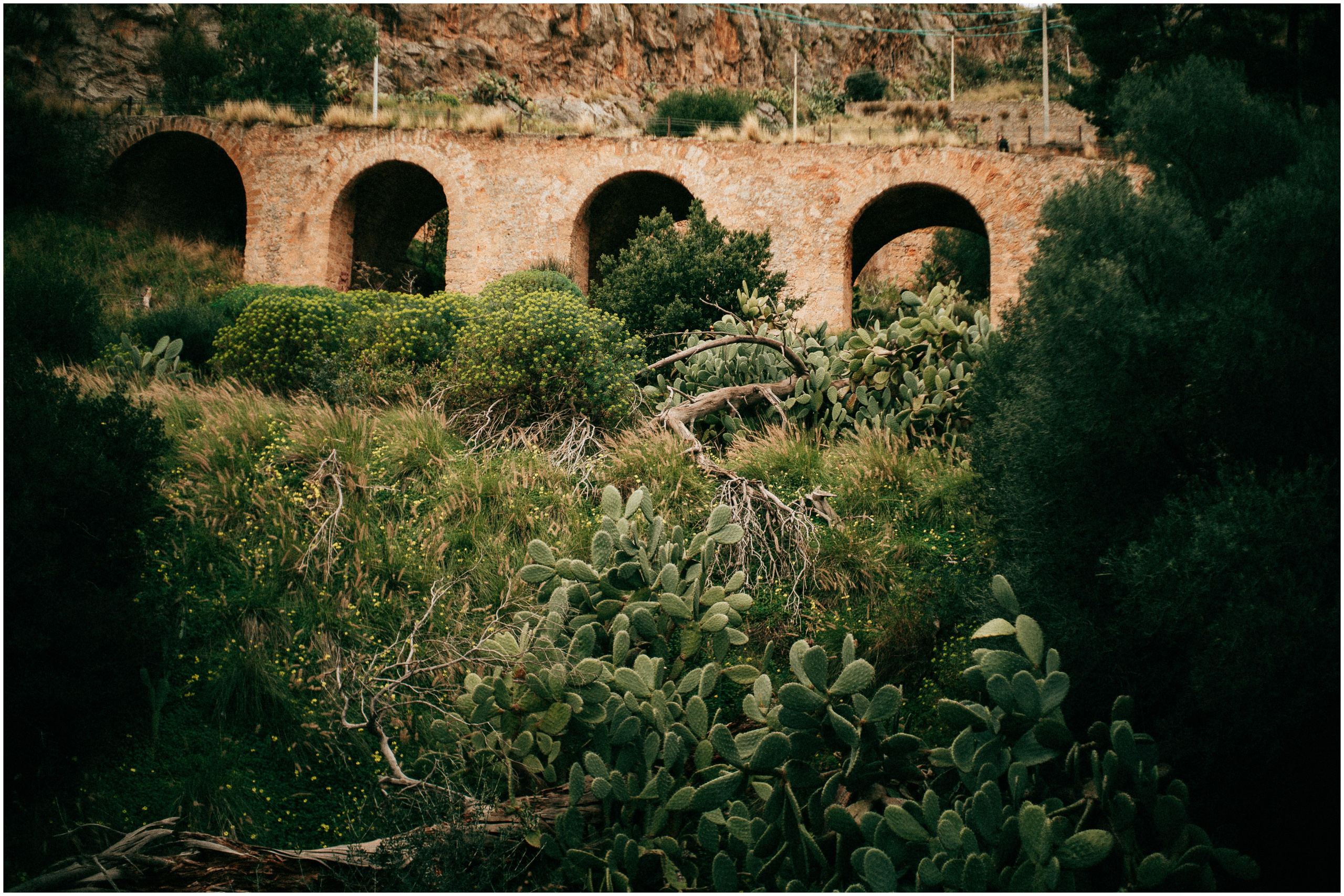 PALERMO. Photographer Inna Mendelson