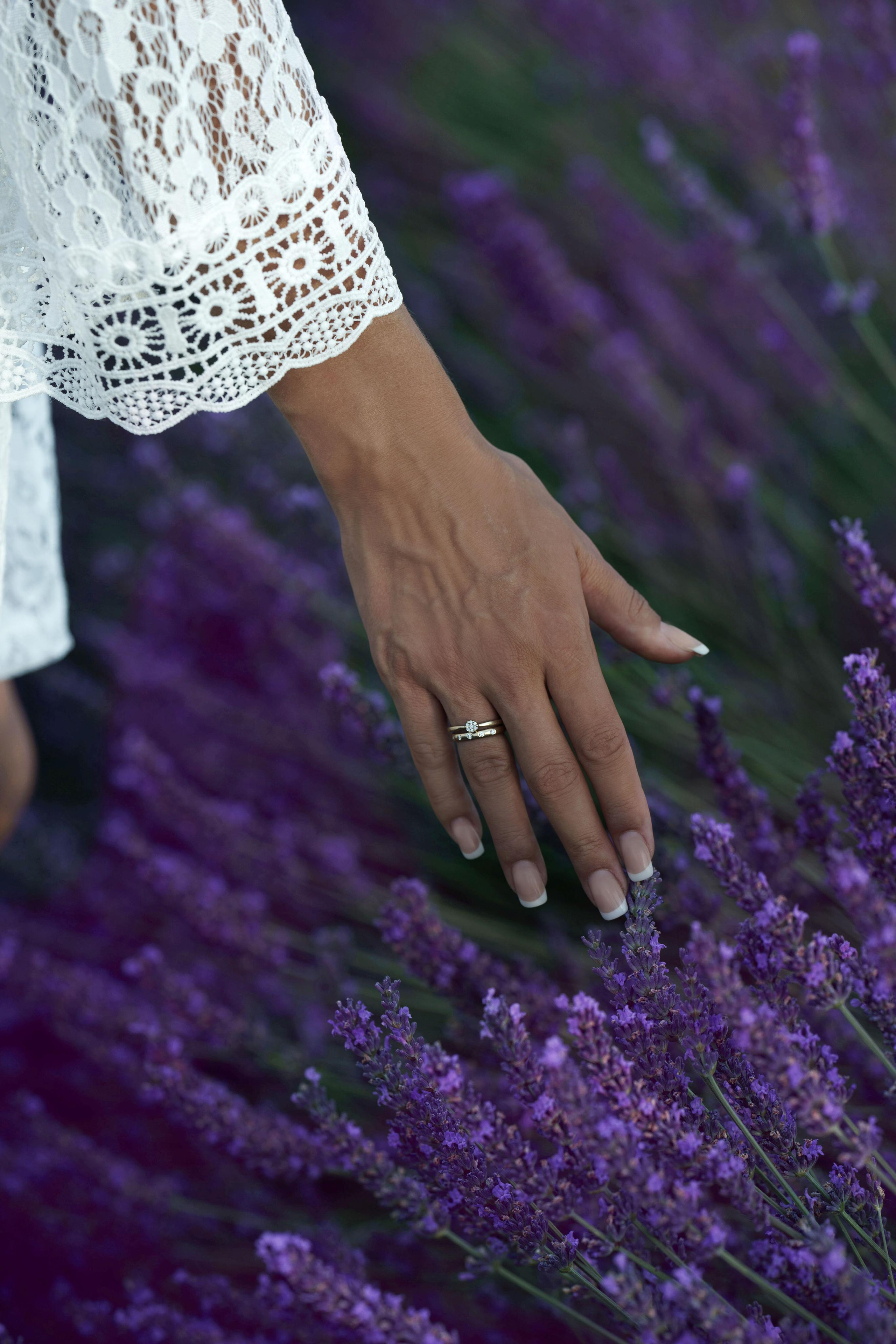 « coucher du soleil en Provence: Anna et la Provence dans l’objectif ». Photos by Vechkaeva