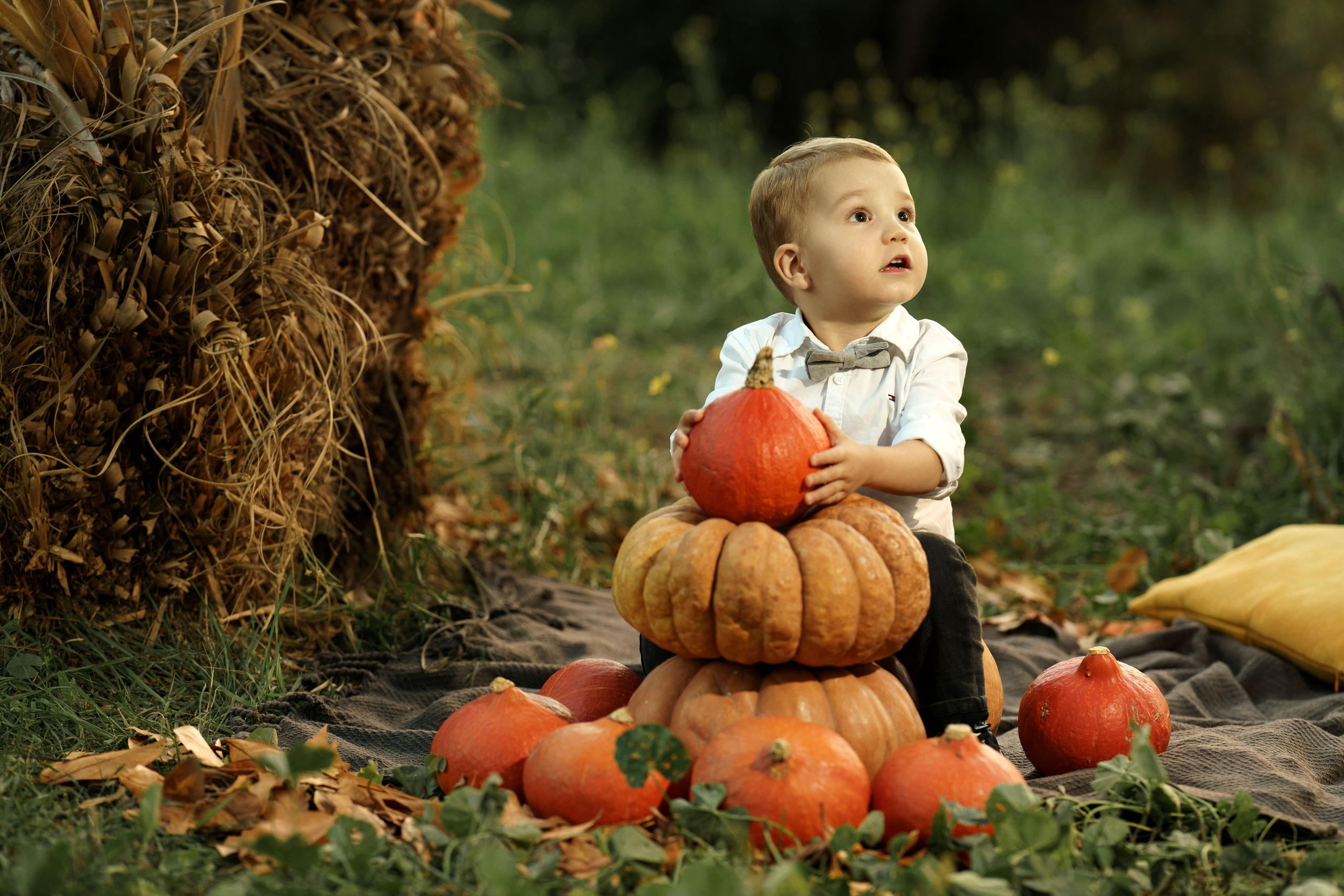 « осенний семейный день ». Главная