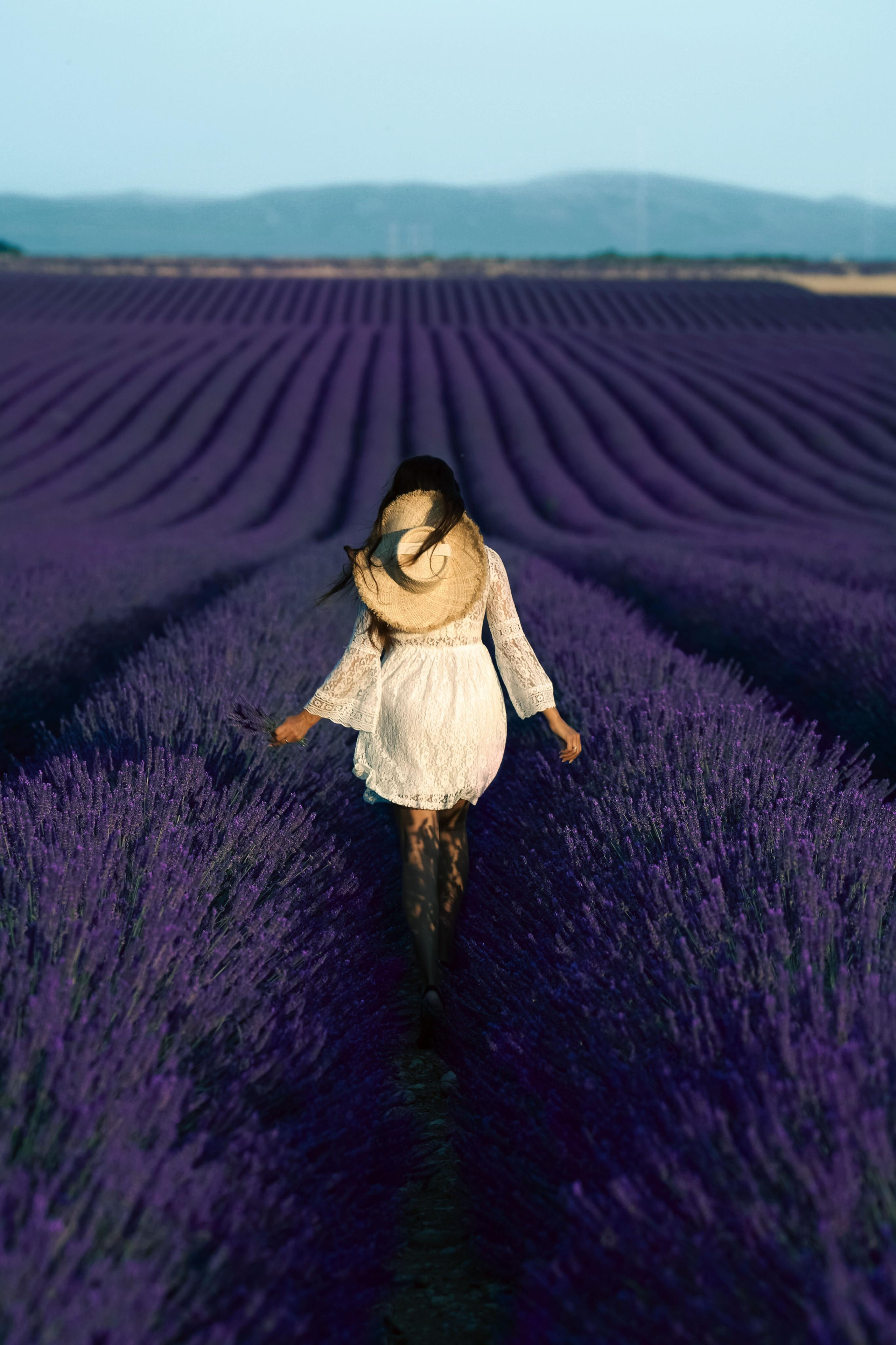 « coucher du soleil en Provence: Anna et la Provence dans l’objectif ». Photos by Vechkaeva