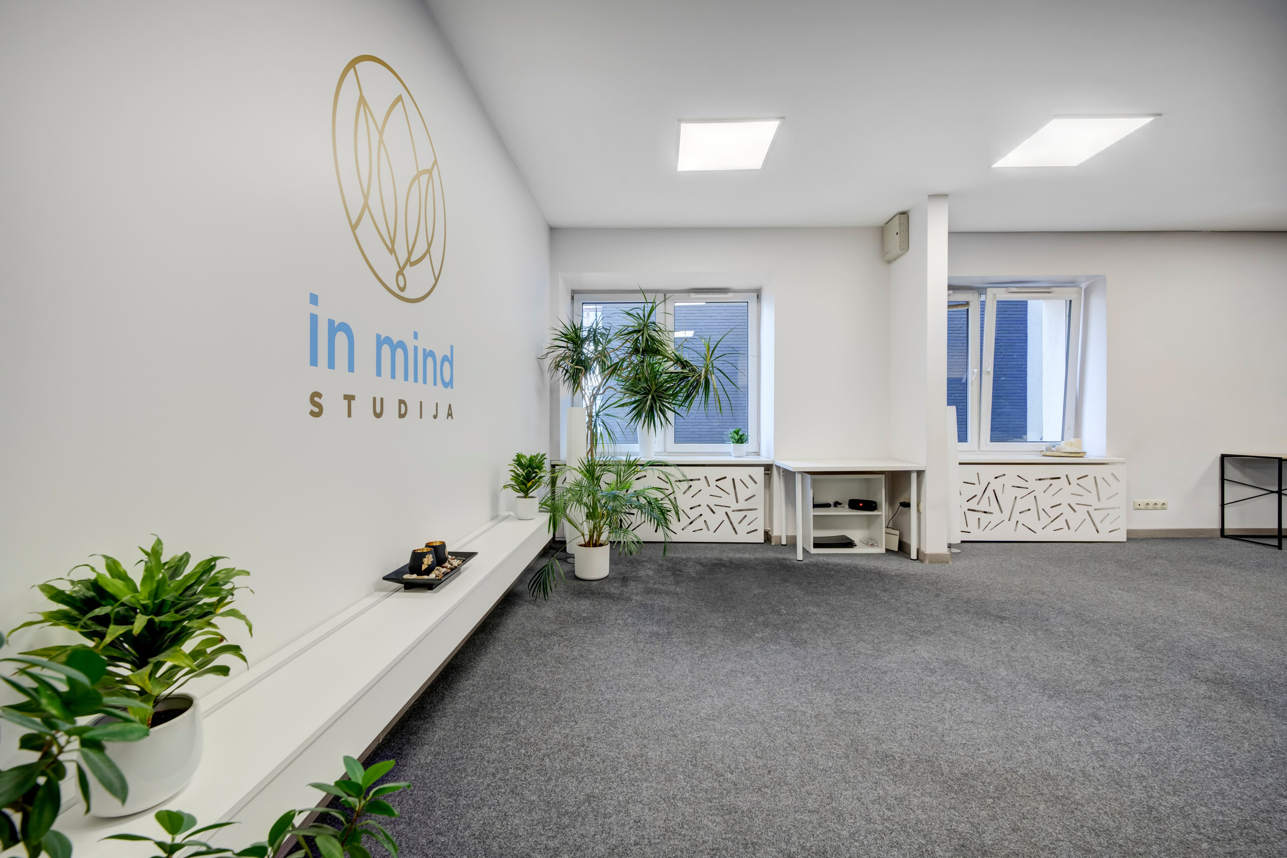 Saltoniškių g. 31. Elina Sapiega fotografė Vilniuje