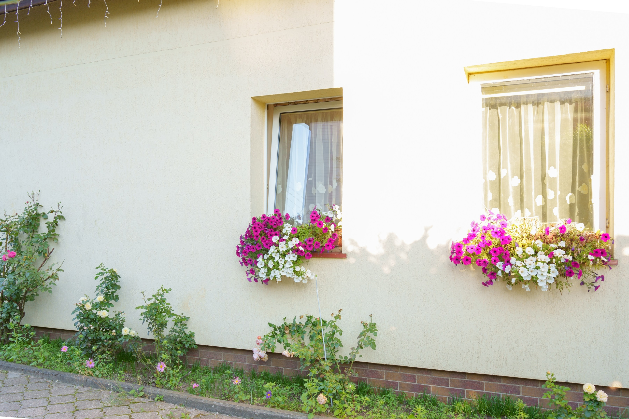 Sūduvių 16, Buivydiškės. Elina Sapiega fotografė Vilniuje