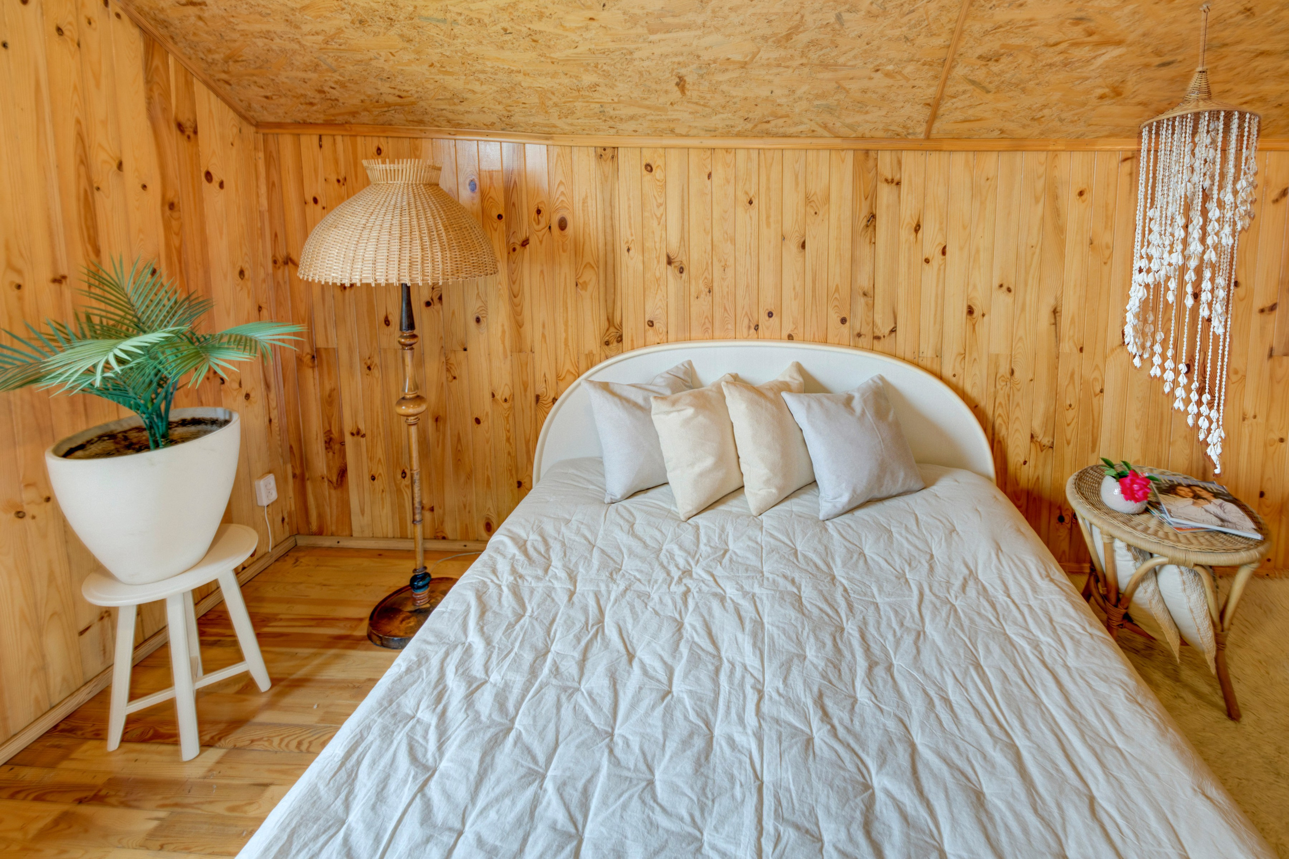 Varėnos raj. Elina Sapiega fotografė Vilniuje