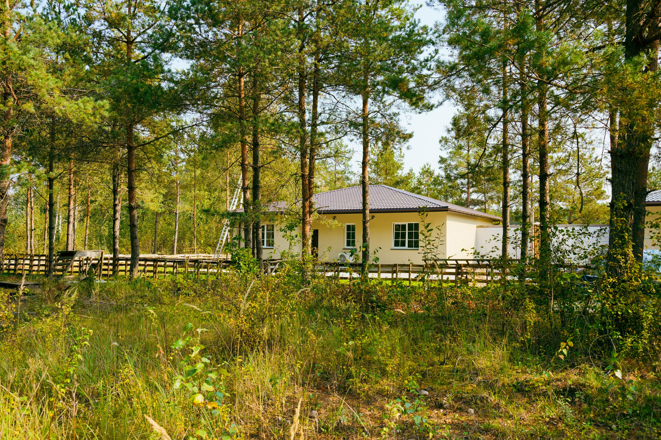 Giraitės g. 41. Elina Sapiega fotografė Vilniuje