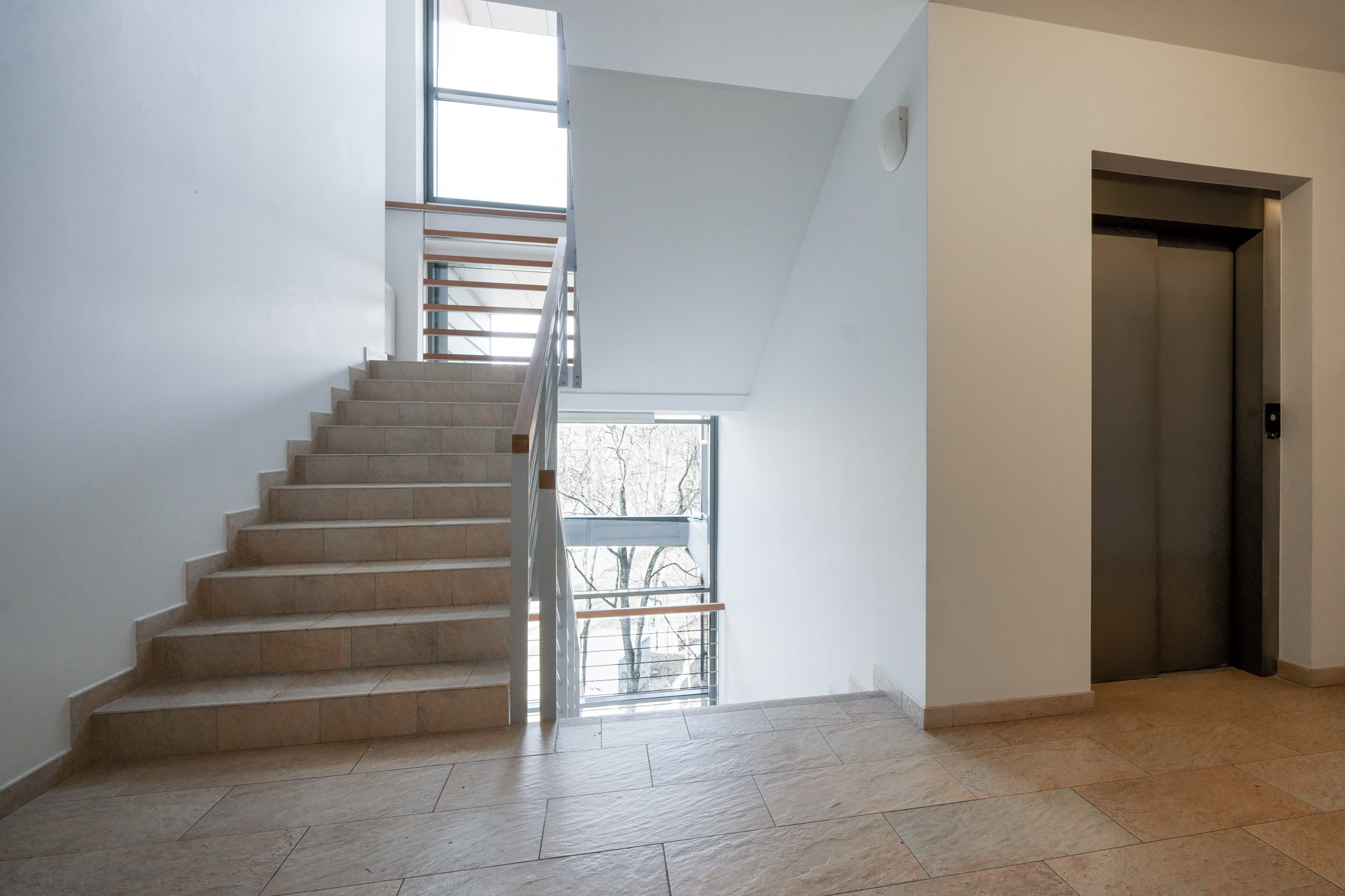 Olimpiečių 1. Elina Sapiega fotografė Vilniuje