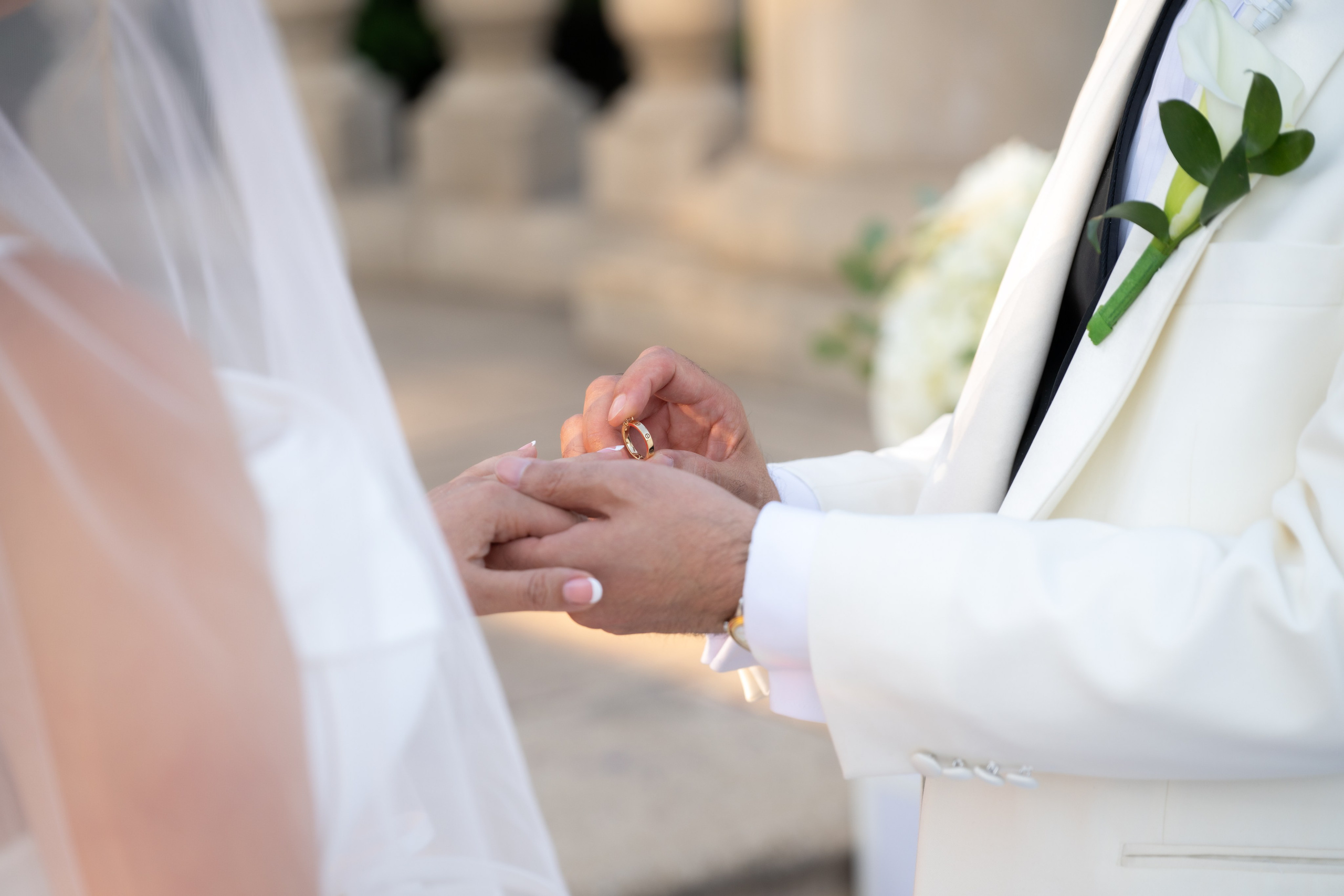 Mandana & Babak. Wedding Photo & Video