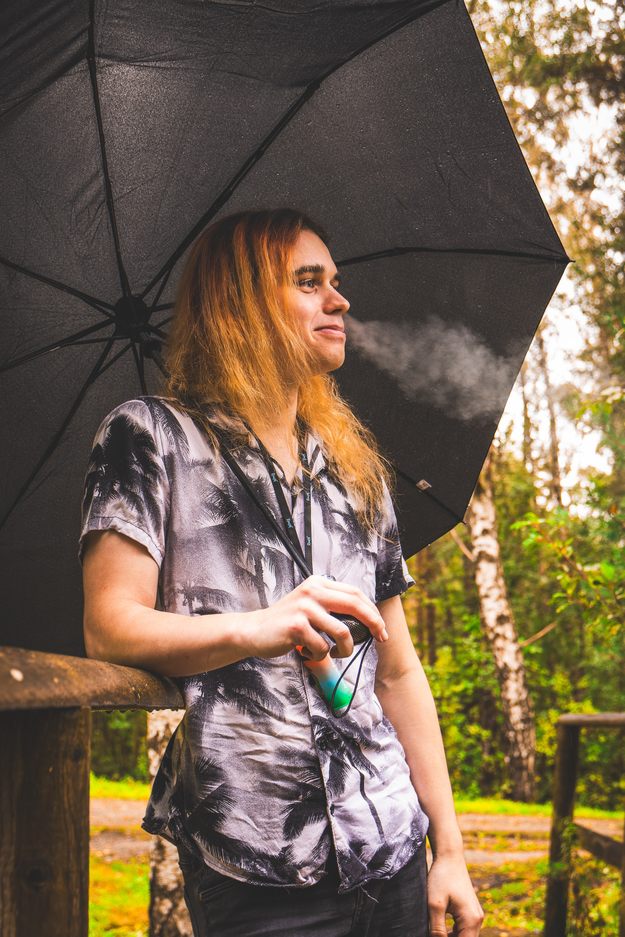 Mets, vihm ja jahedus (Dimitry). Nebula 25 — Fotod teie hingele