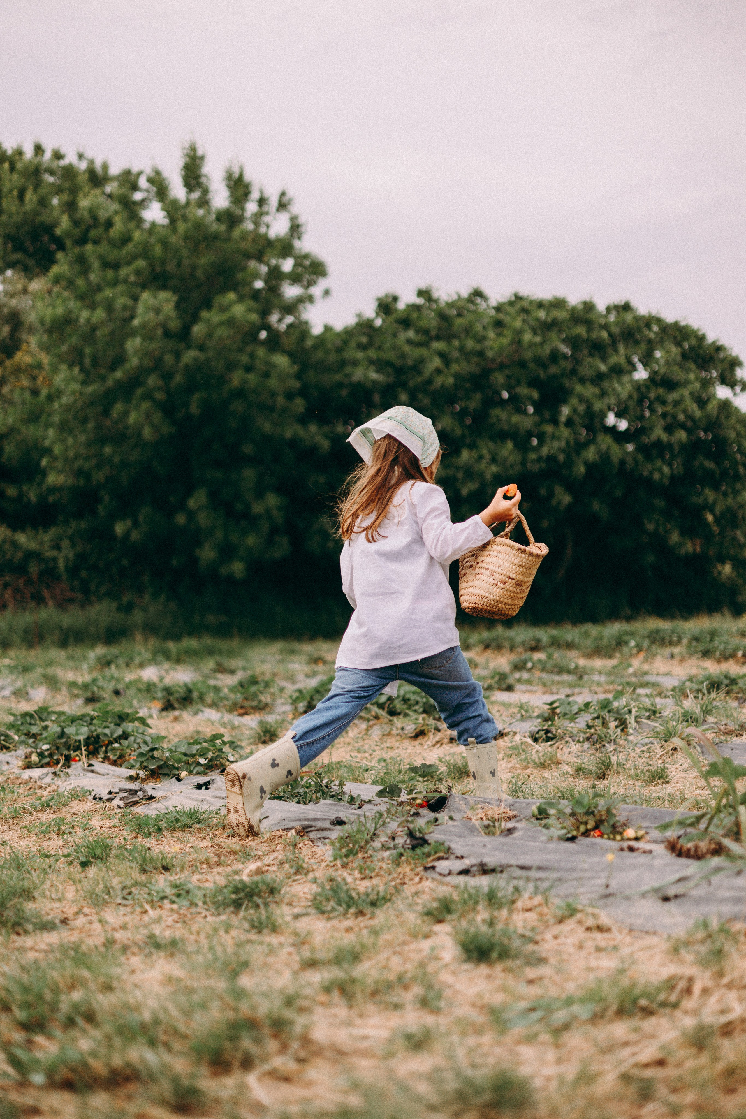 Cueilette fraise. Photographe en Côte d’Azur