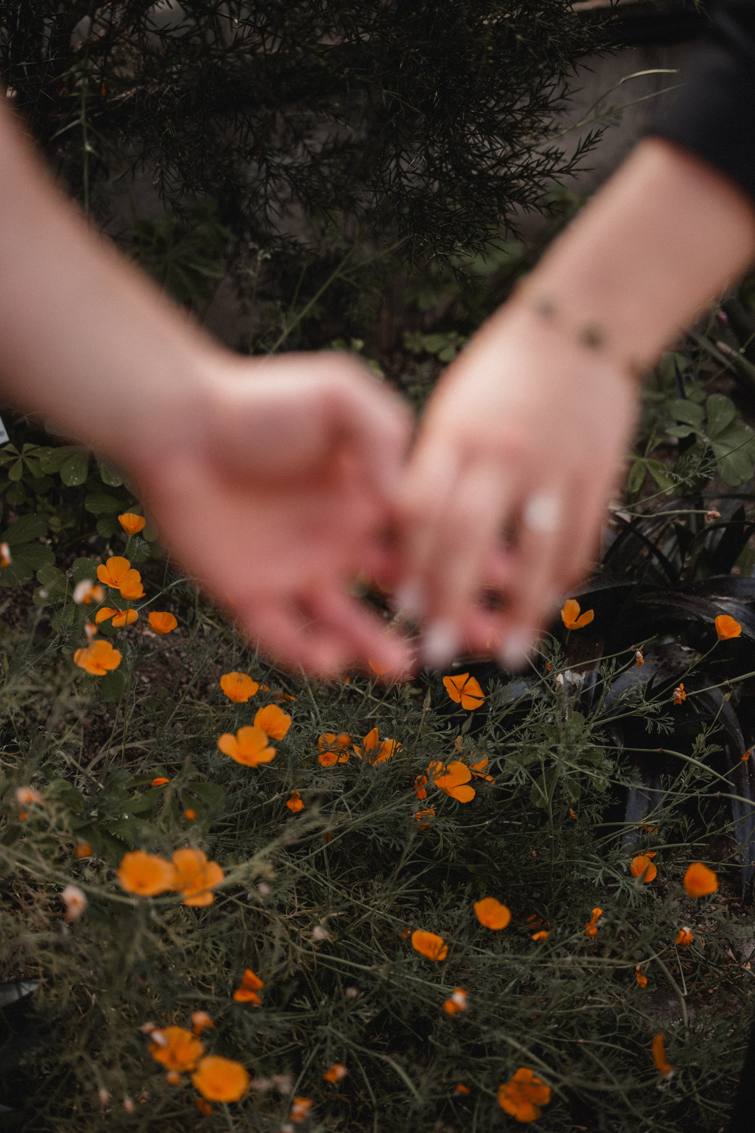 Jessics & Felix. Hochzeitsfotografie |Hochzeitsfotograf Bochum | Hochzeitsfotograf Dortmund | Hochzeitsfotograf Essen | Hochzeitsfotograf Ruhrgebiet