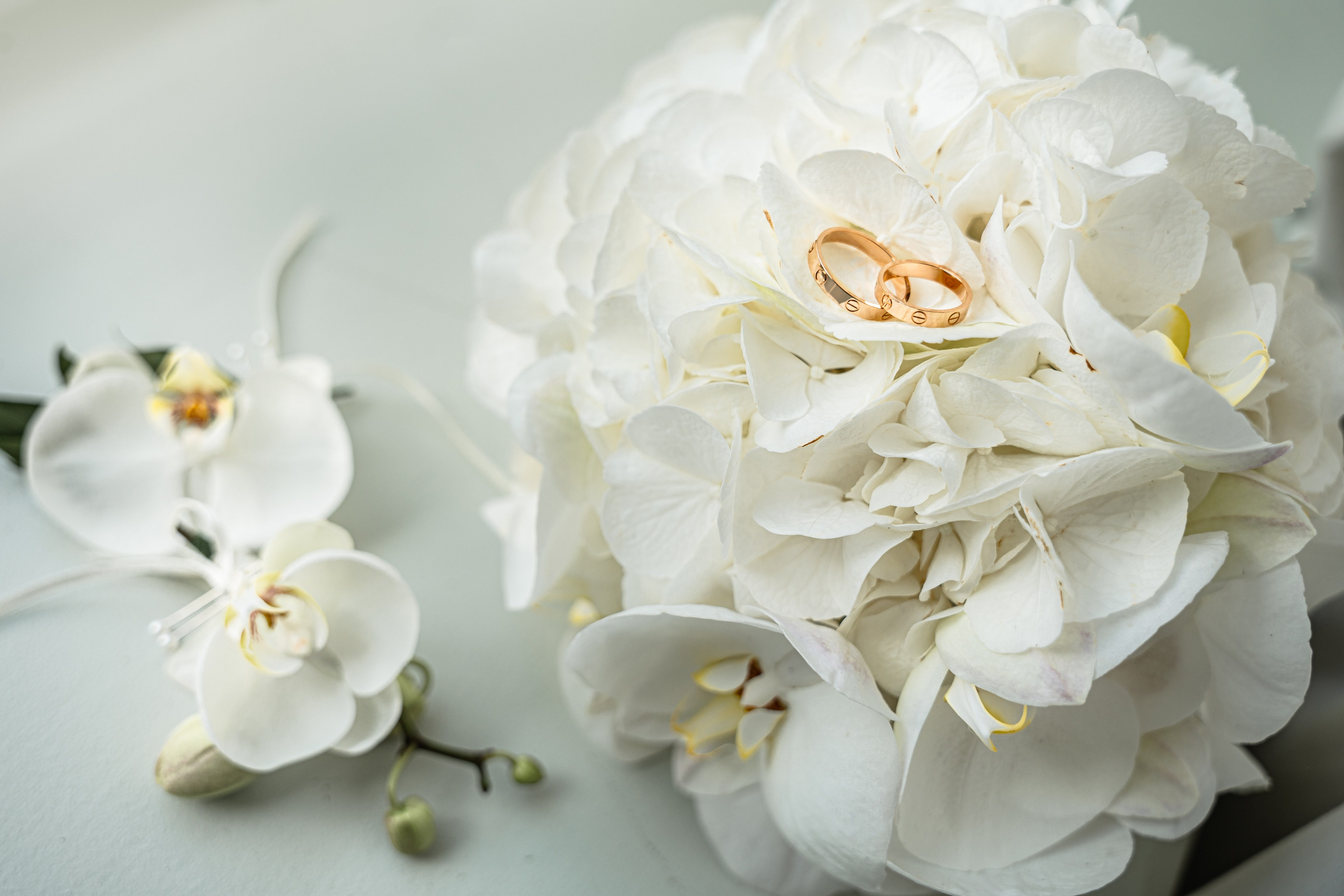 Oleh_Aleksandra. Tonya Kyrylenko photographer in London