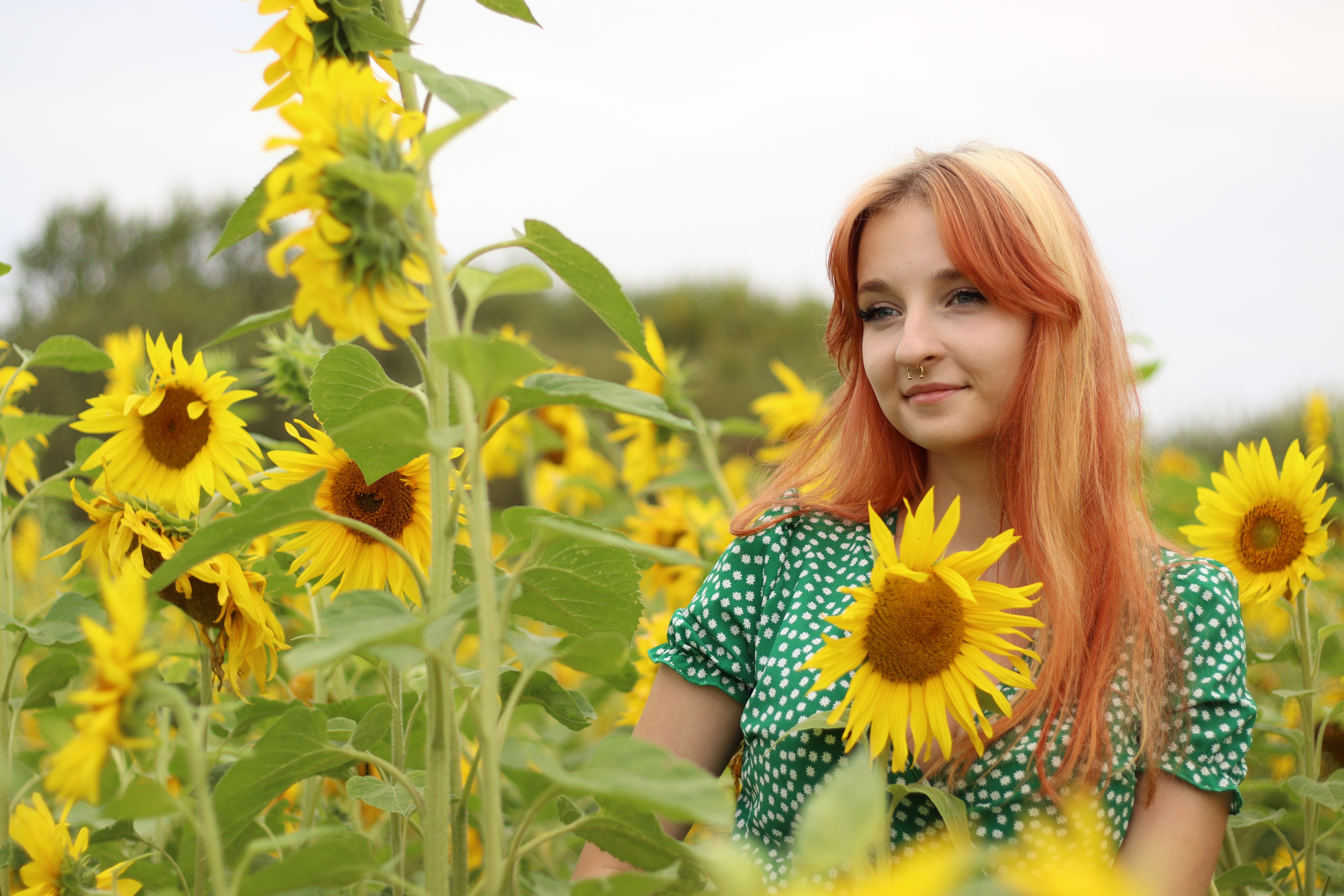 Фотосессия в подсолнухах. Фотограф / Даугавпилс / Ольга Антонова