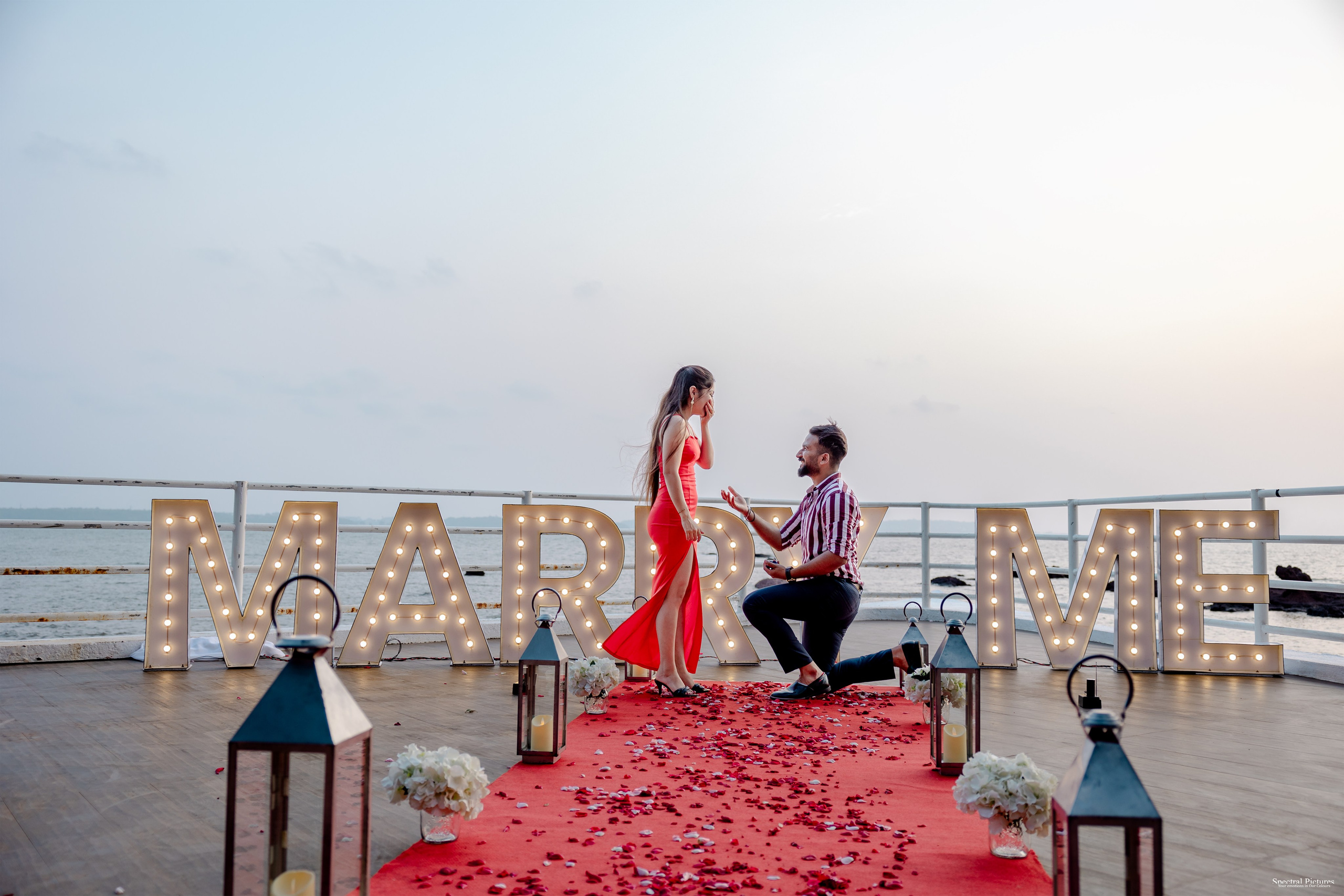 Purva & Tarun | Proposal