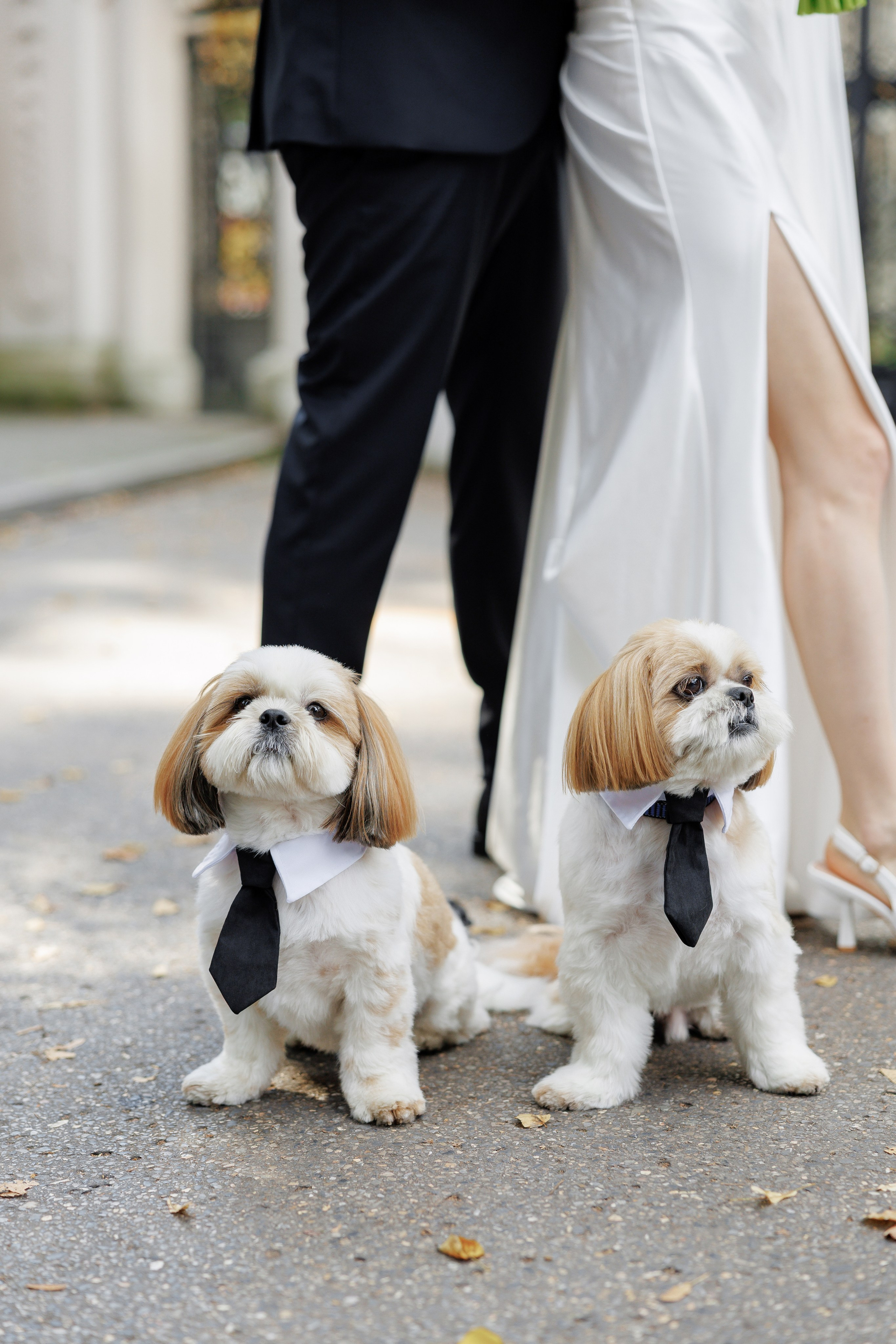 N&A. Krakow. 19.09.2025. Fotograf ślubny i rodzinny w Krakowie Yana Klymova