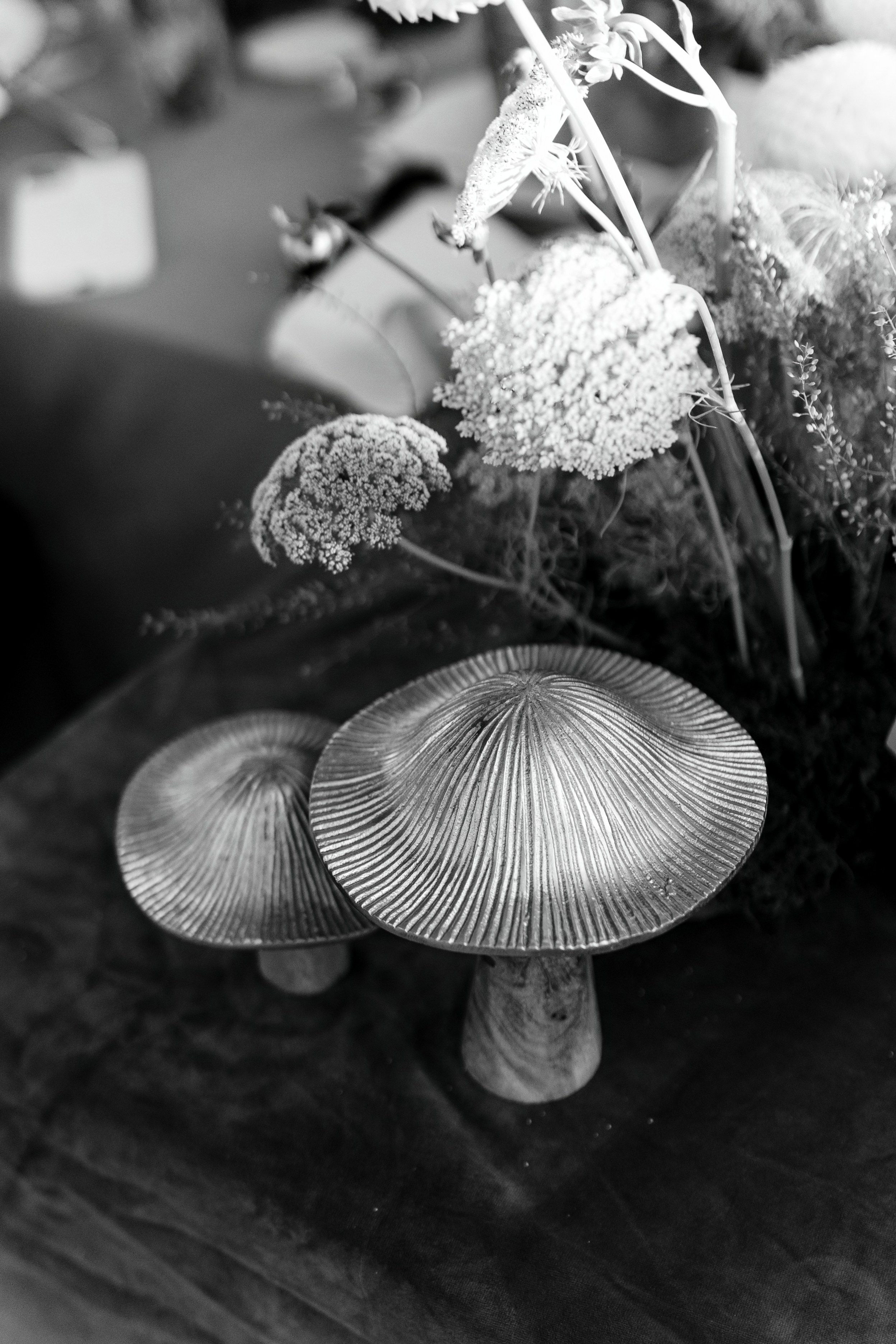 Janina & Wladek. Dworzyszcze Wola. 23.07.2025. Fotograf ślubny i rodzinny w Krakowie Yana Klymova