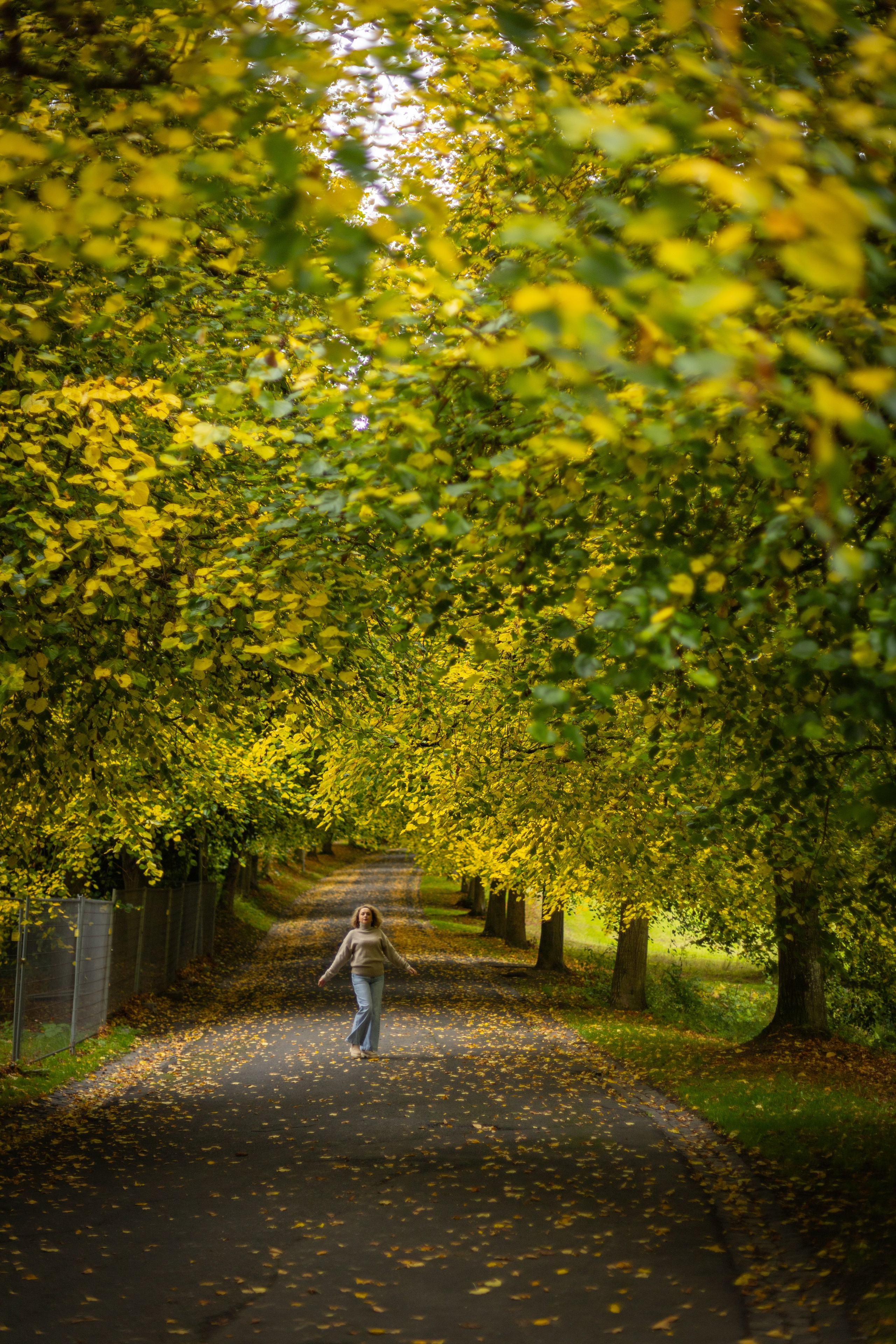 Autumn photos. PHOTOgrapher Germany MARBURG
