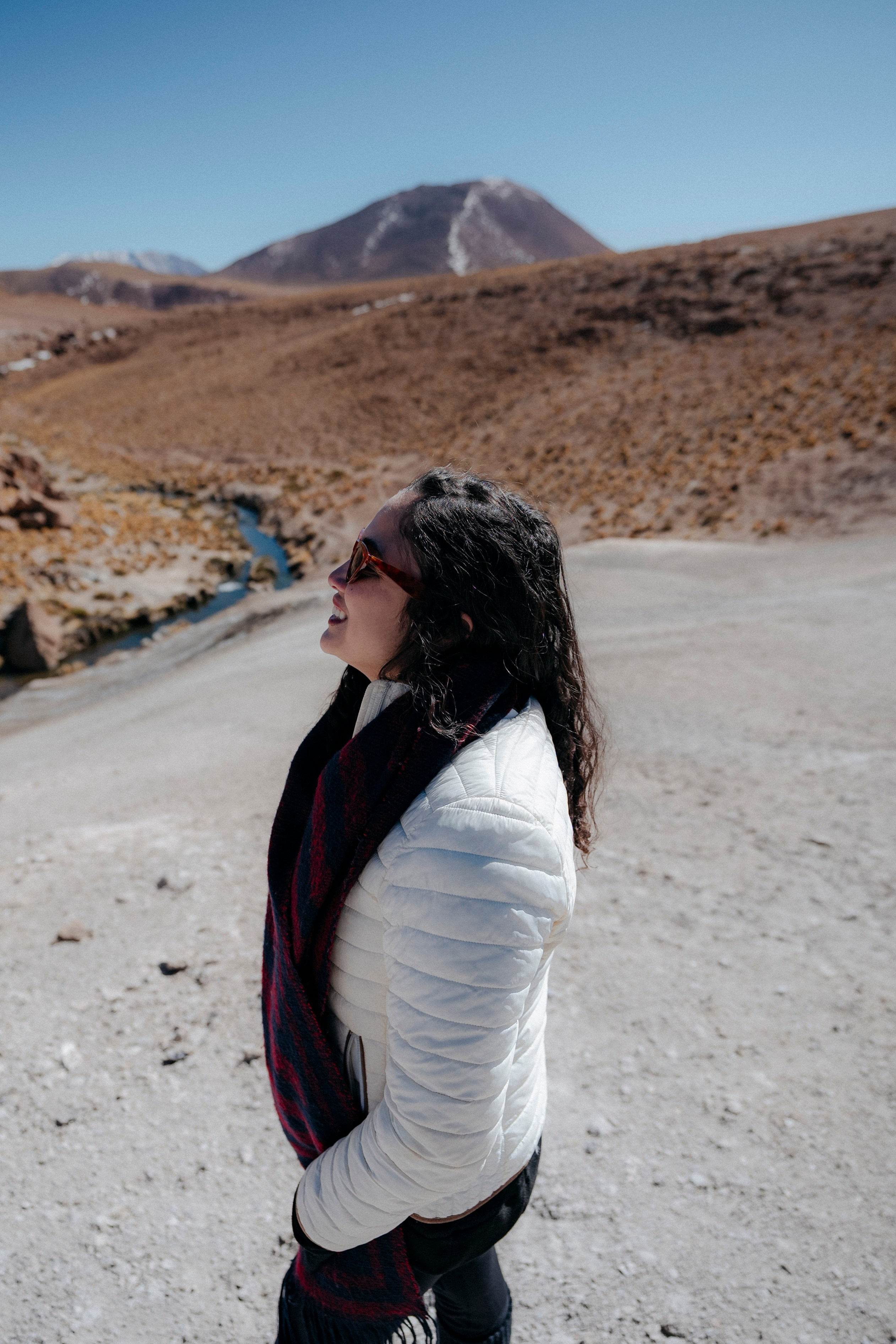 Geyser El Tatio (cobertura en tour privado). Principal