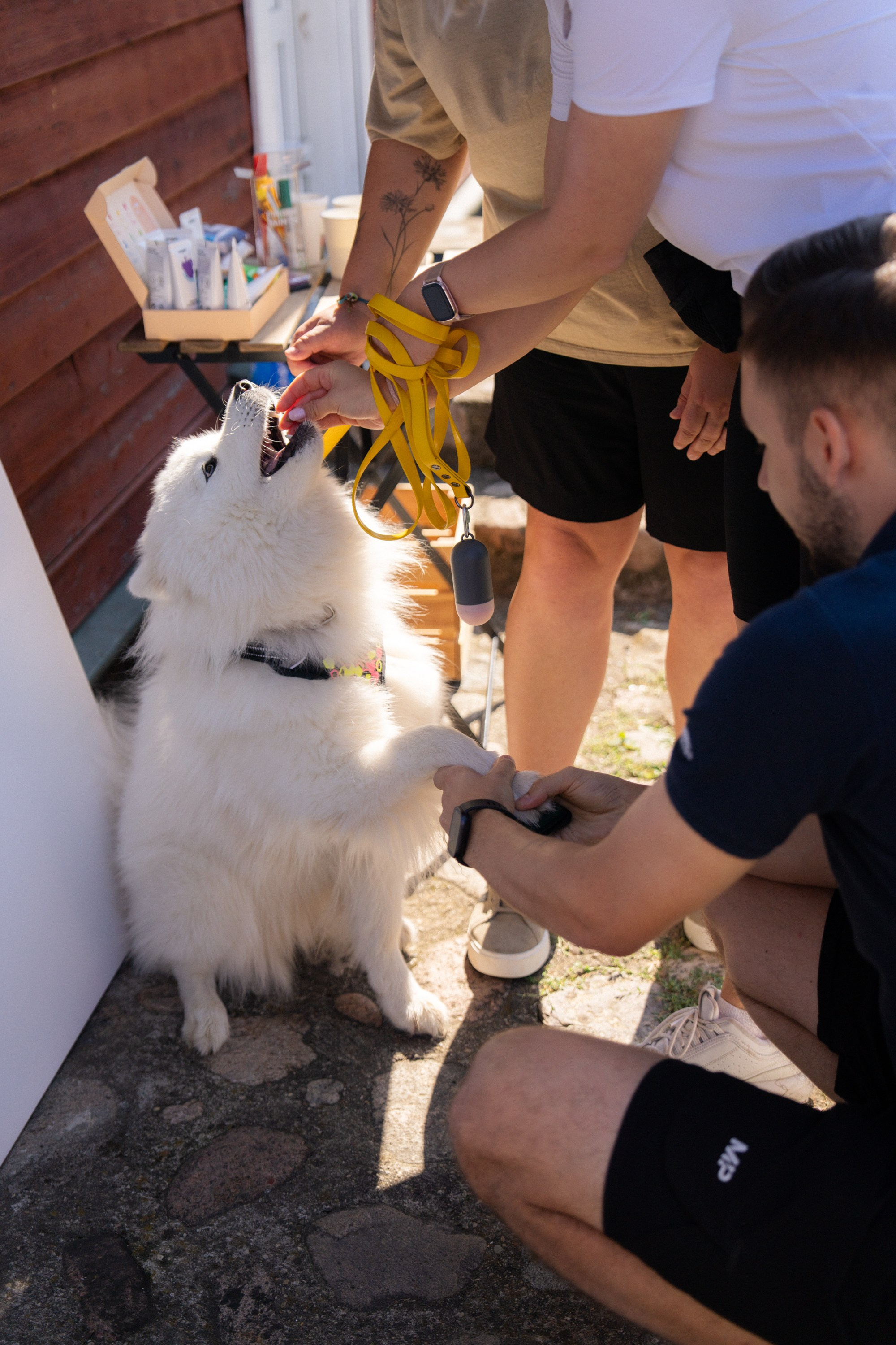 Heppi Dogo fest 2025. Vita Klimaševska ○ Fluffy Soulmate Photography