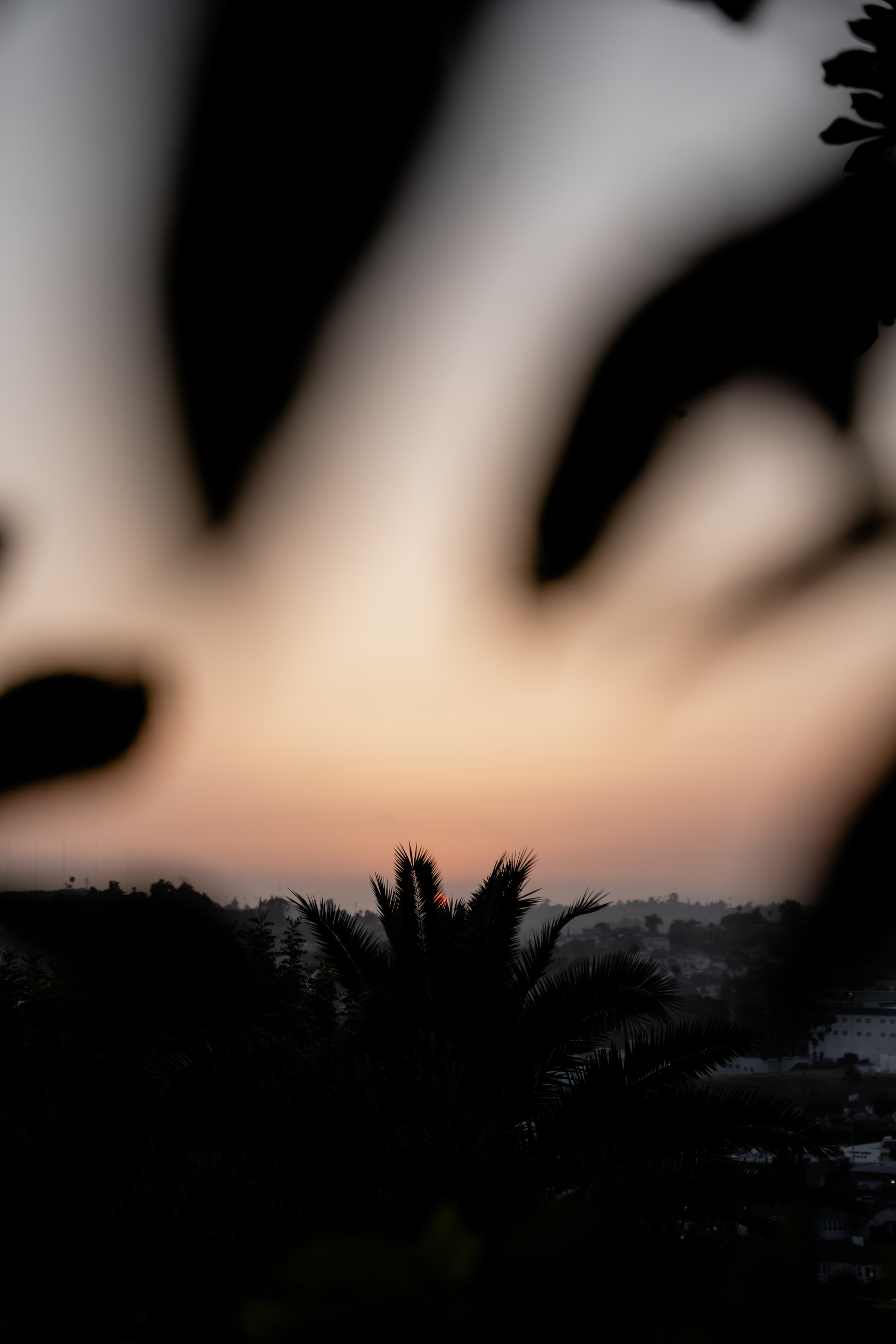 N&R. Orange County Wedding Photographer & Videographer | Candid & Timeless Wedding Photo + Video | Italiantsev