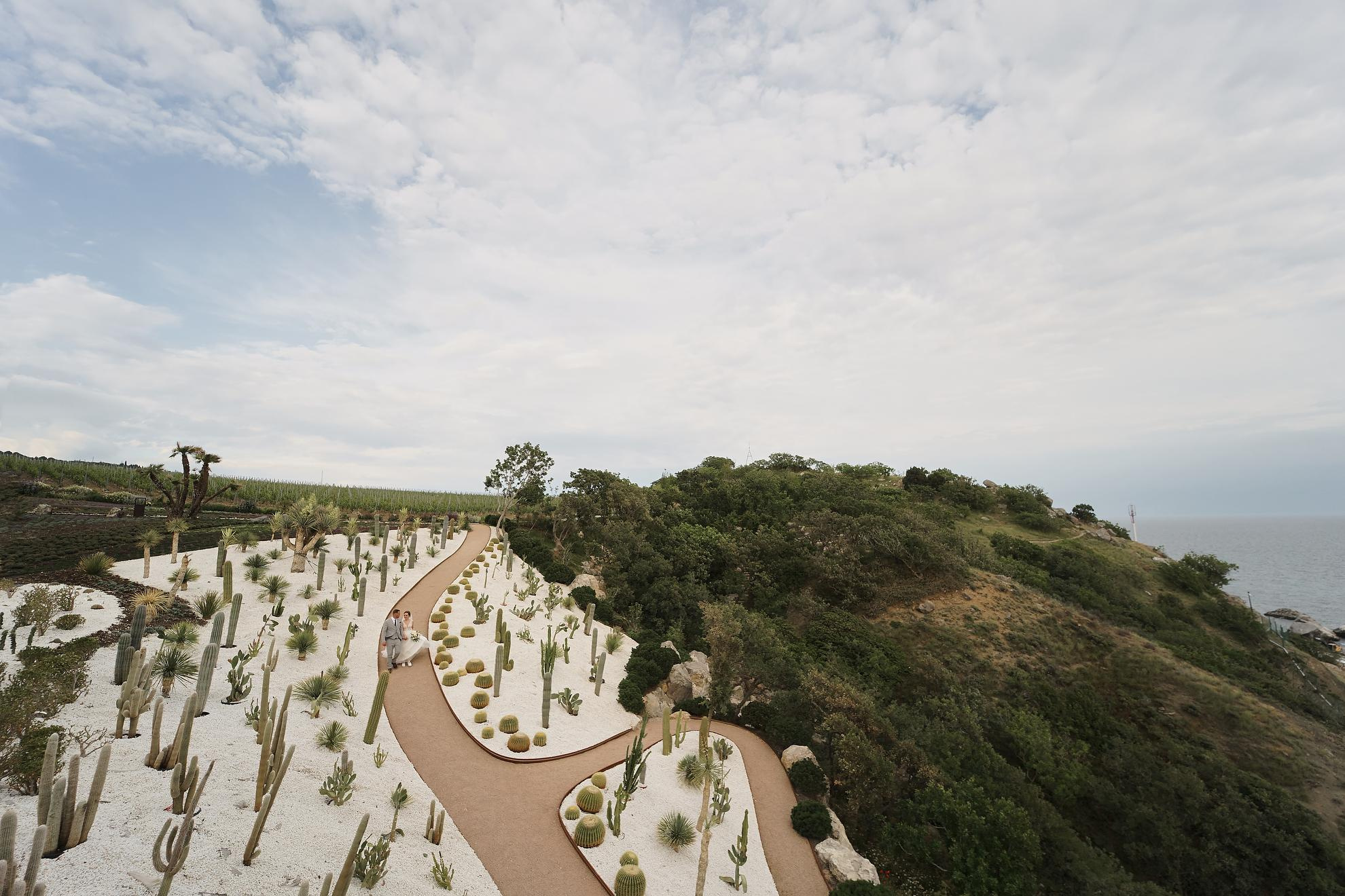 Dima & Lily. Professional Wedding and event photographer USA New York