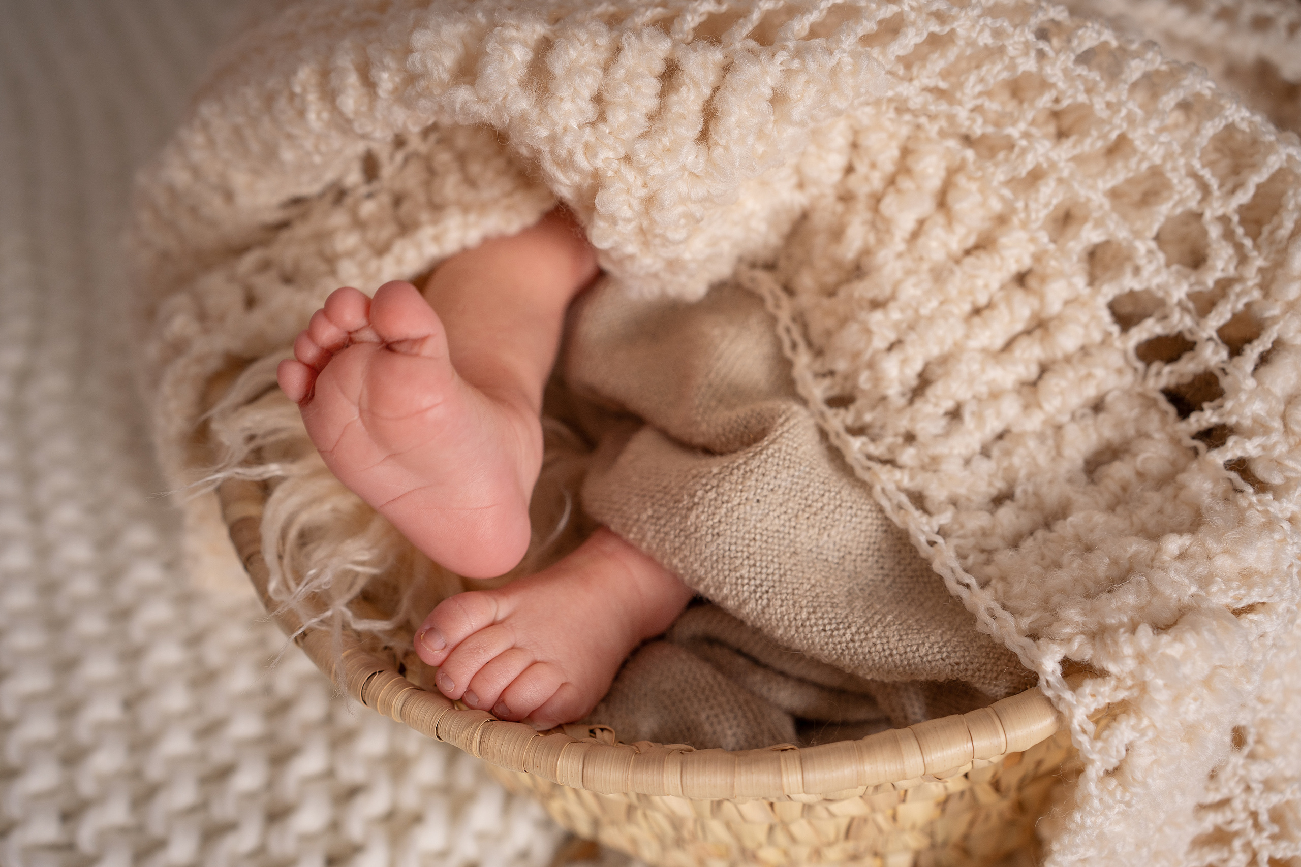 Babys. Kinder- und Familienfotografin im Raum Ingolstadt