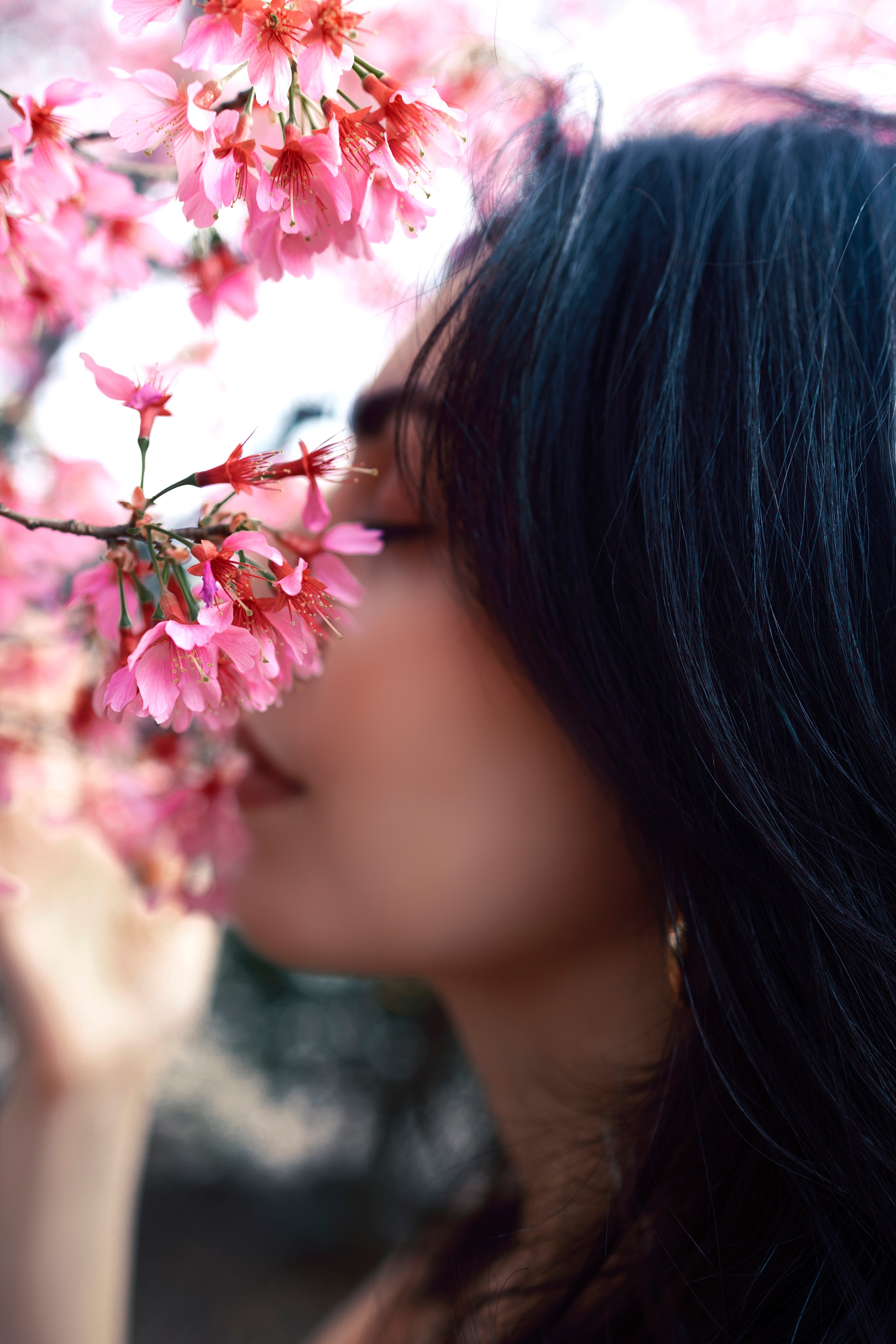 Family and single. Anaeliseevaphoto.com