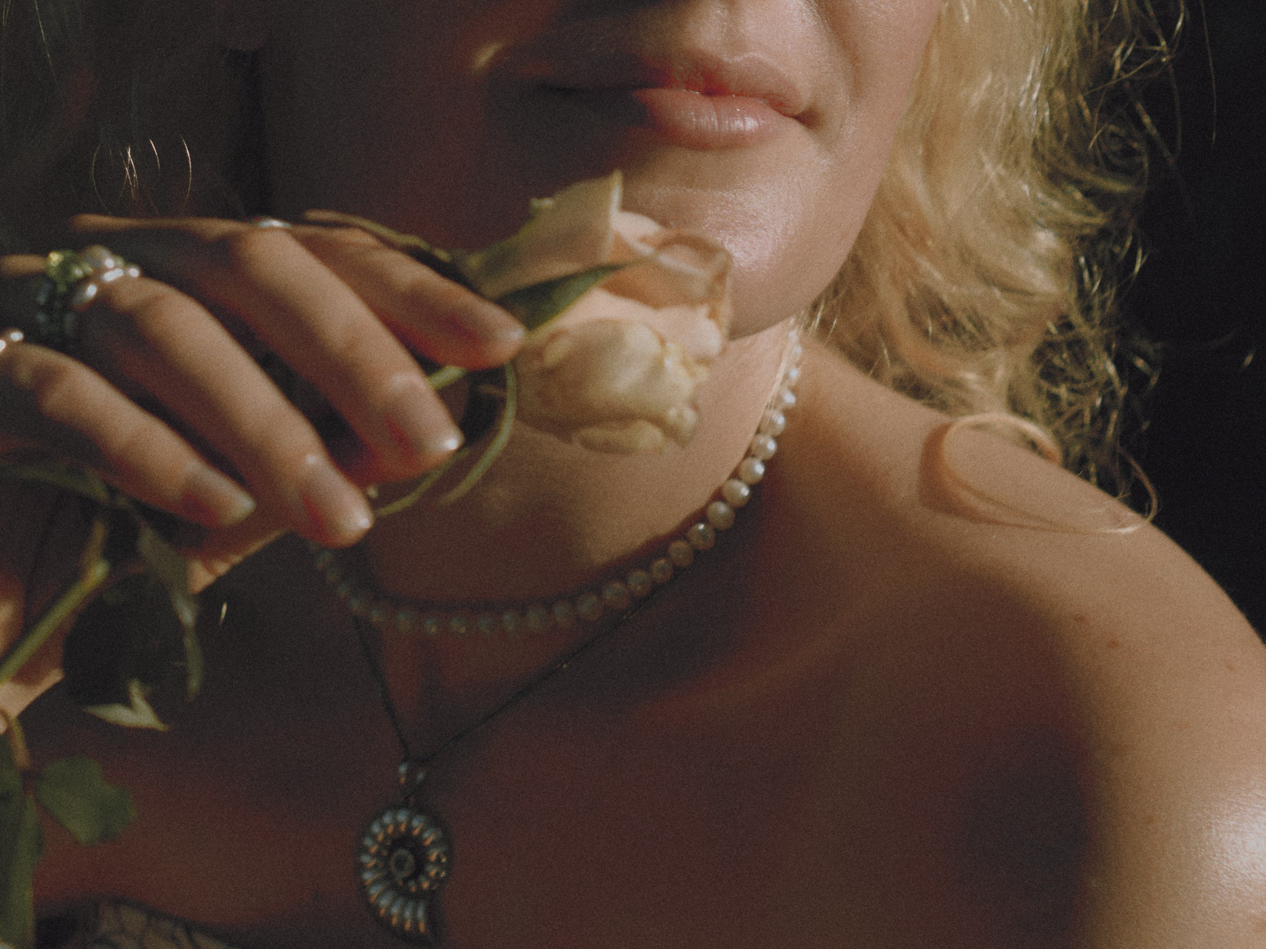 A rose is a rose is a rose. Photographer Cape Town | фотограф Кейптаун