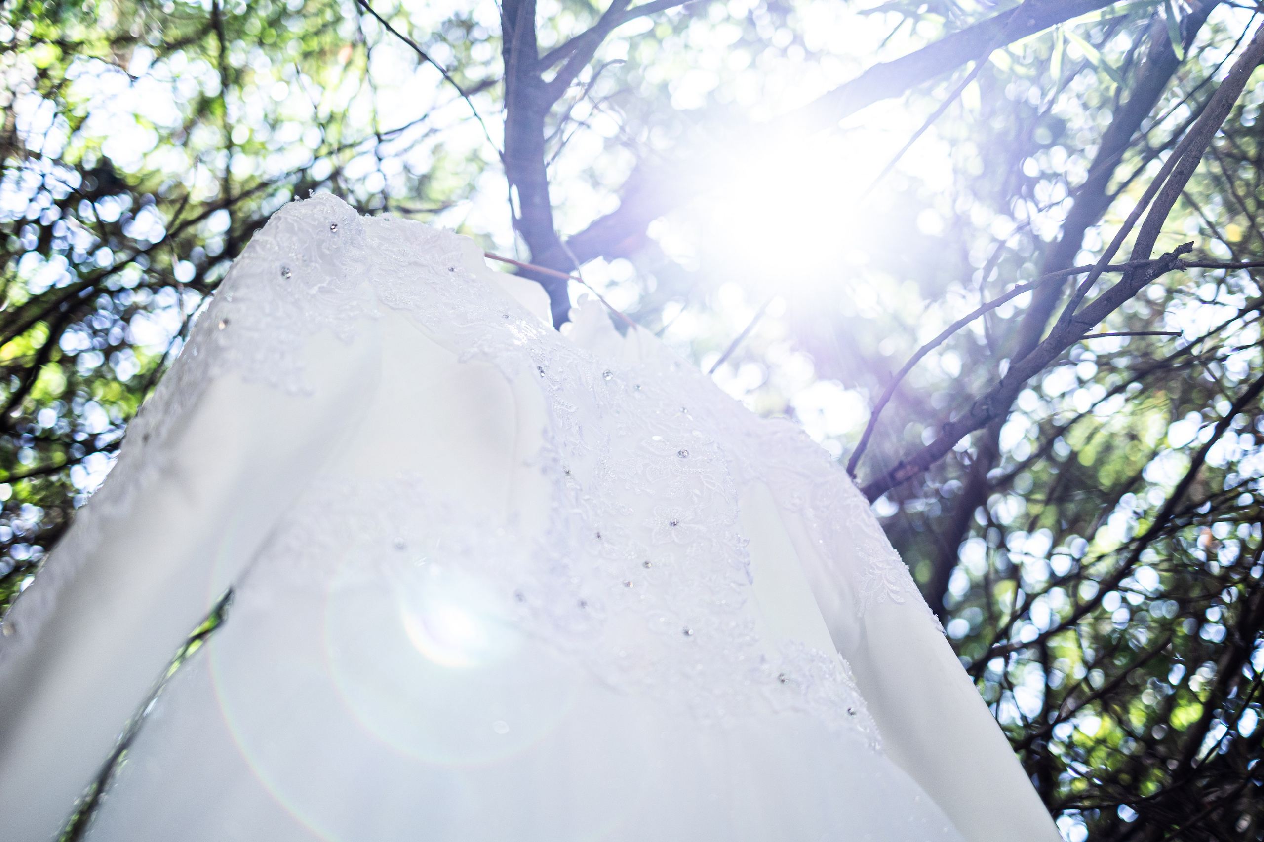 S&S. משה מנשה צלם חתונות