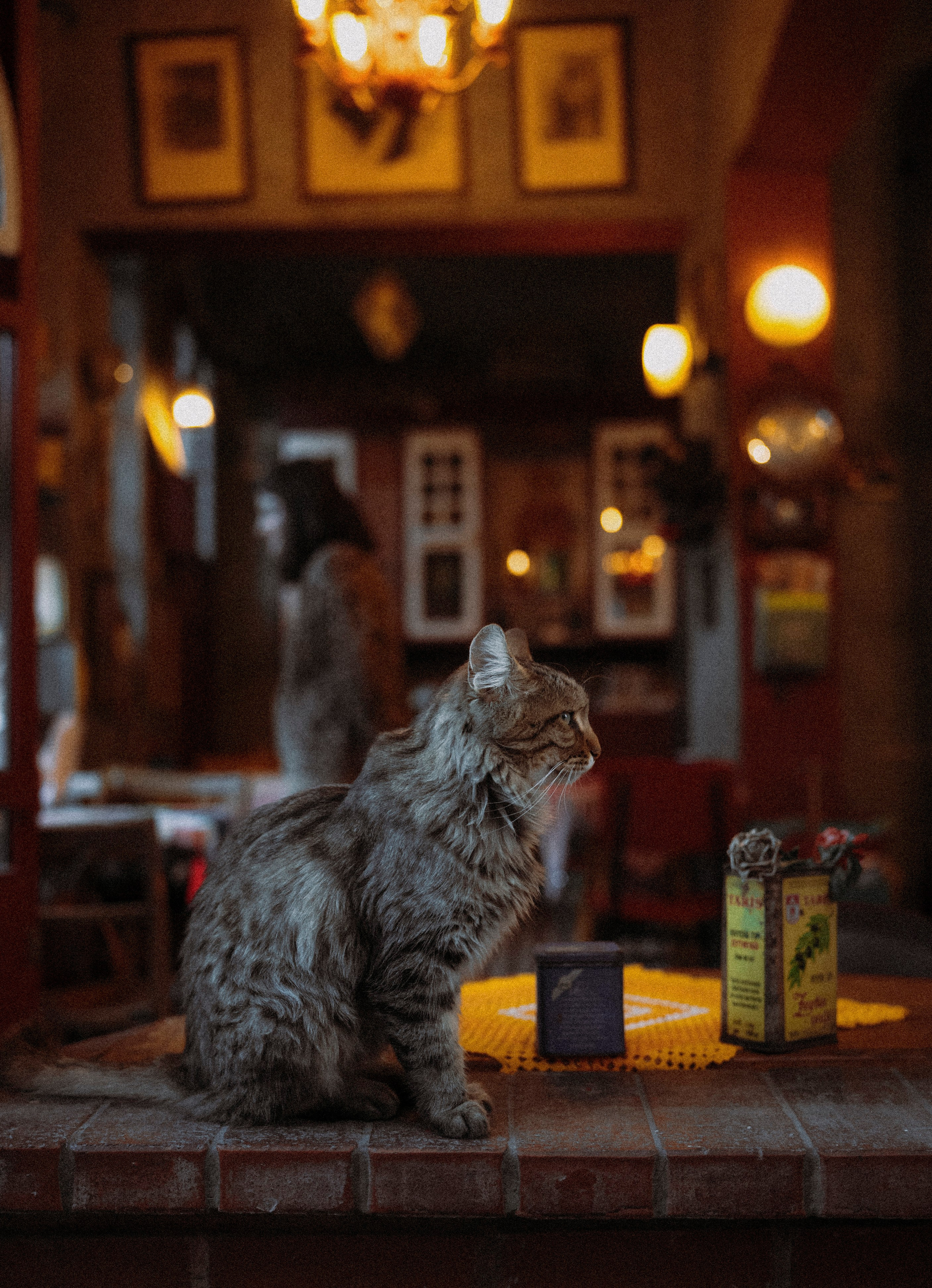 СТАМБУЛ. Стрит-фотография, полная абсурда, идиотизма и красоты