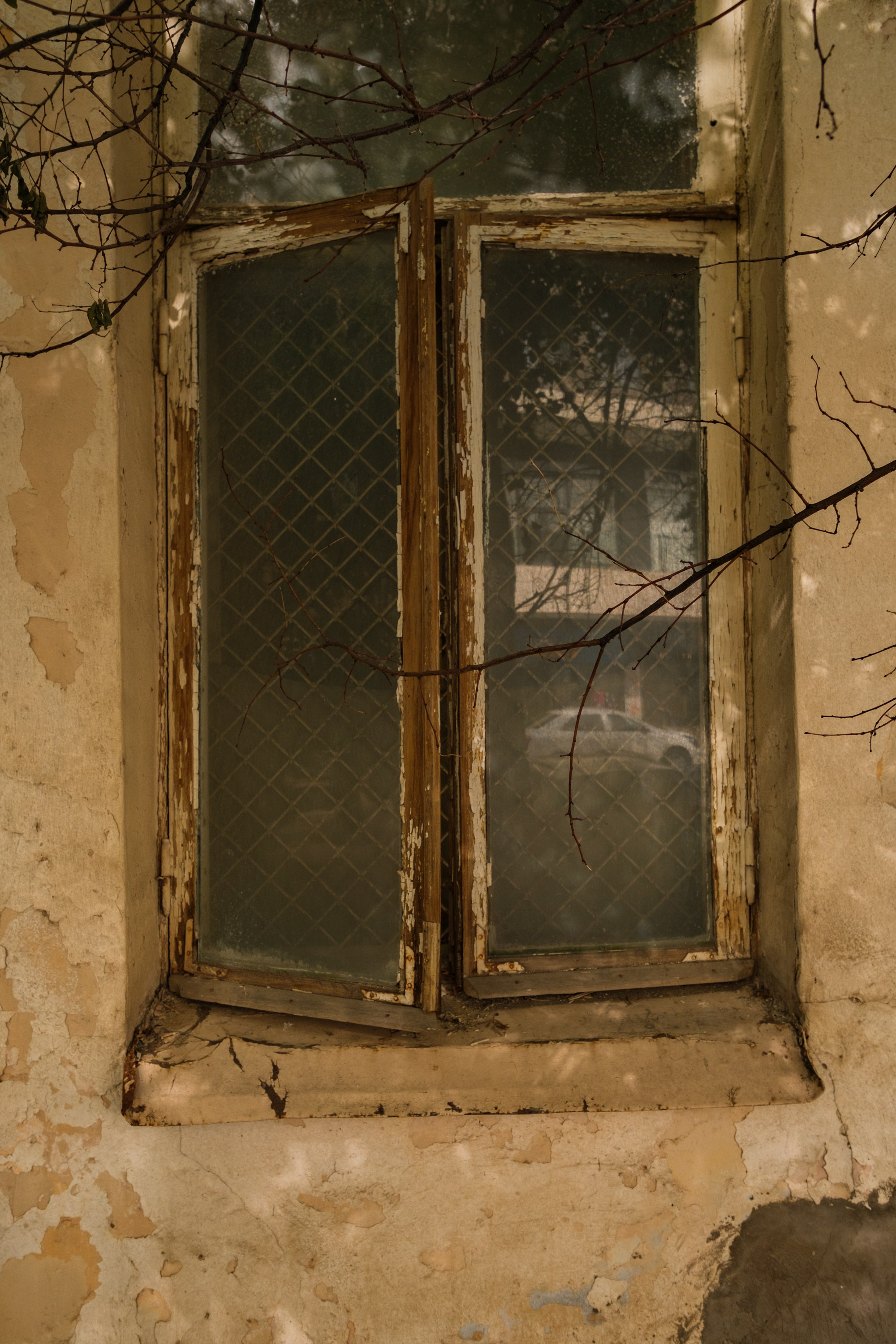 SIGMA 10-18mm DC DN (X-mount). Фотограф Григорий Кравец