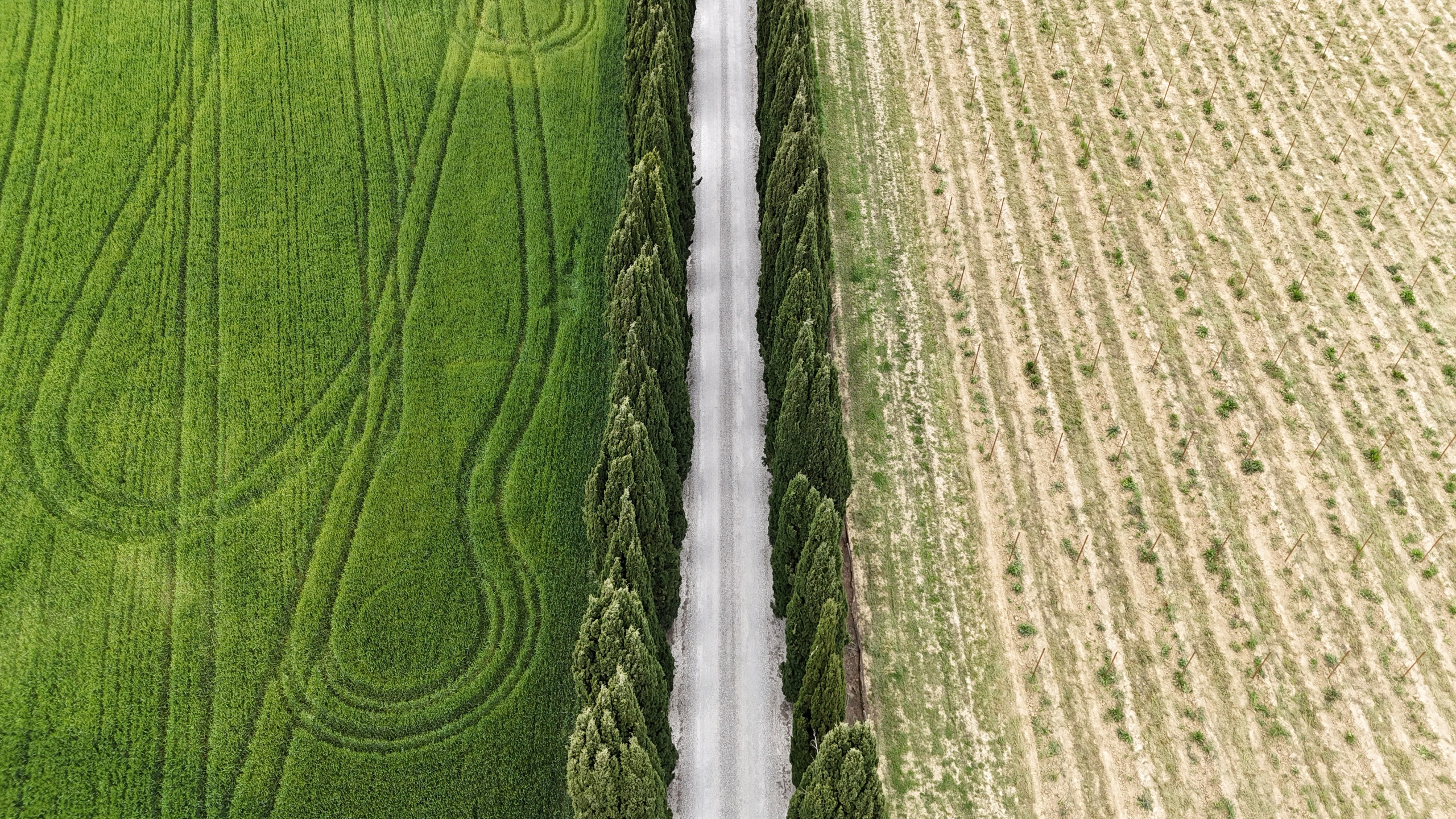 Drone. Photographer, Videomaker, Drone, Padova, Venice, Italy, Elena Radchenko