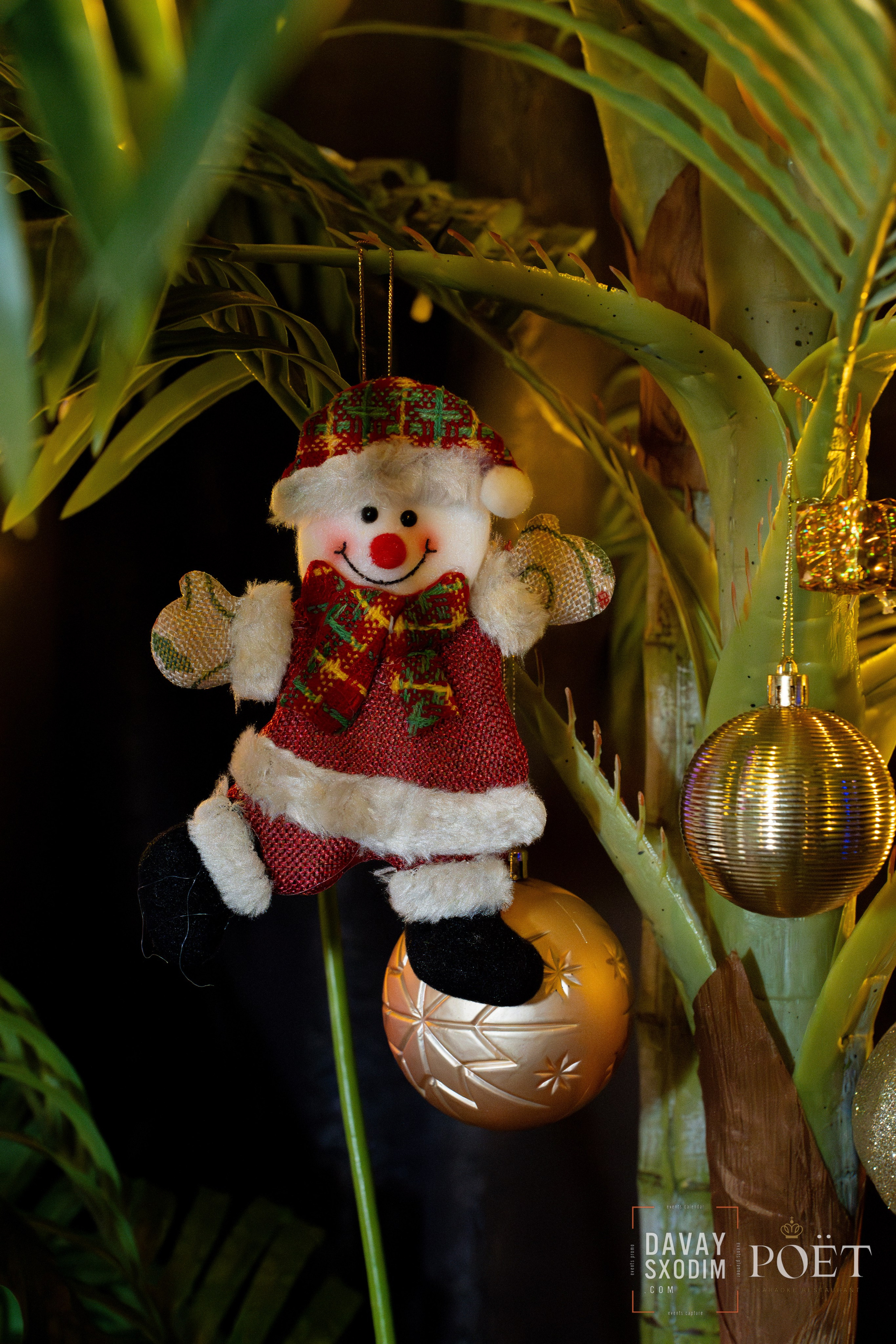 Ночь караоке | Фоторепортаж | Видеорепортаж | Афиша | DAVAYSXODIM.com PHUKET. АФИША|ФОТОРЕПОРТАЖИ|ИВЕНТЫ|ПХУКЕТ