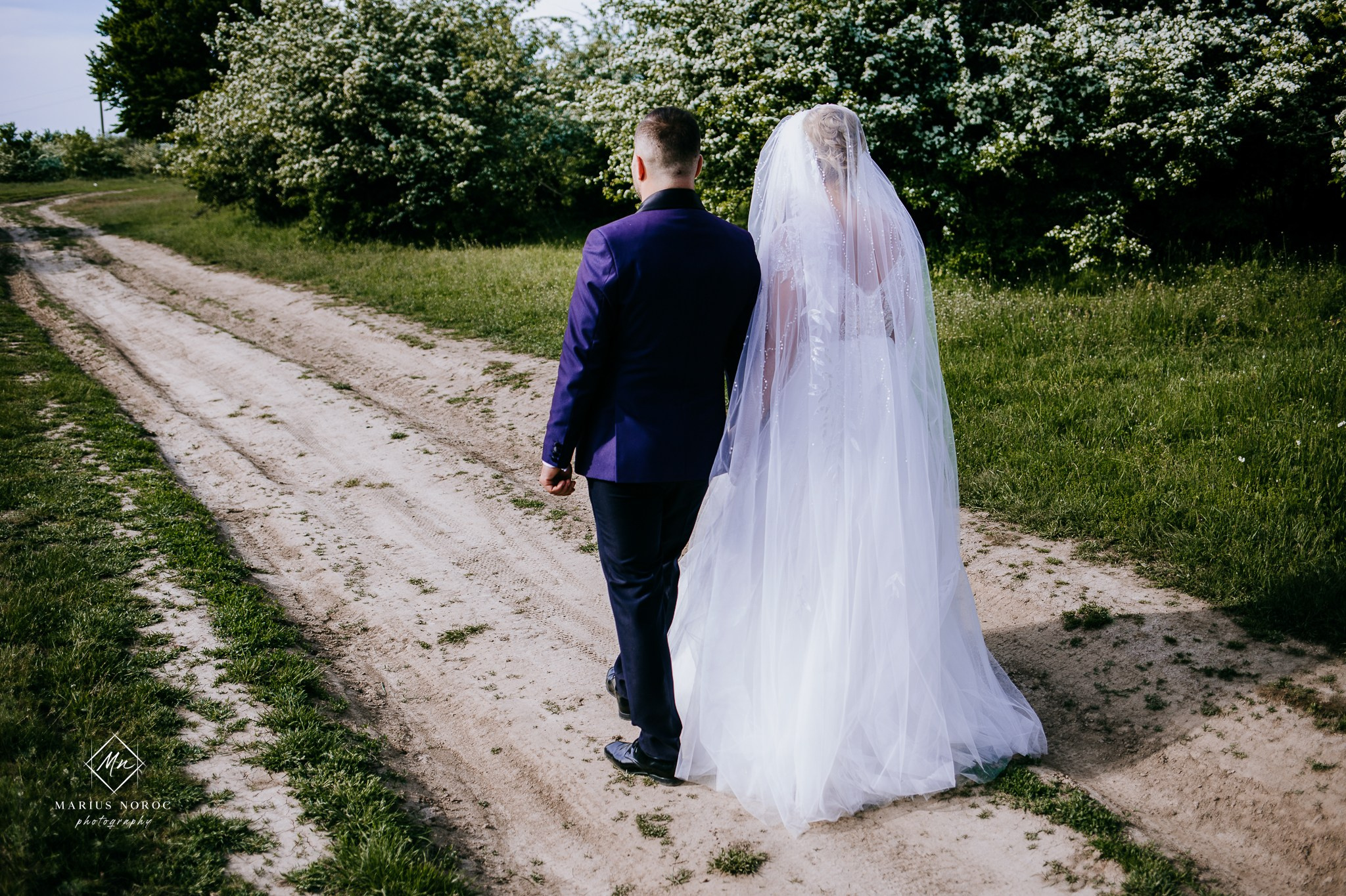 Roxana & Ionut | Padurea Bucium Iasi