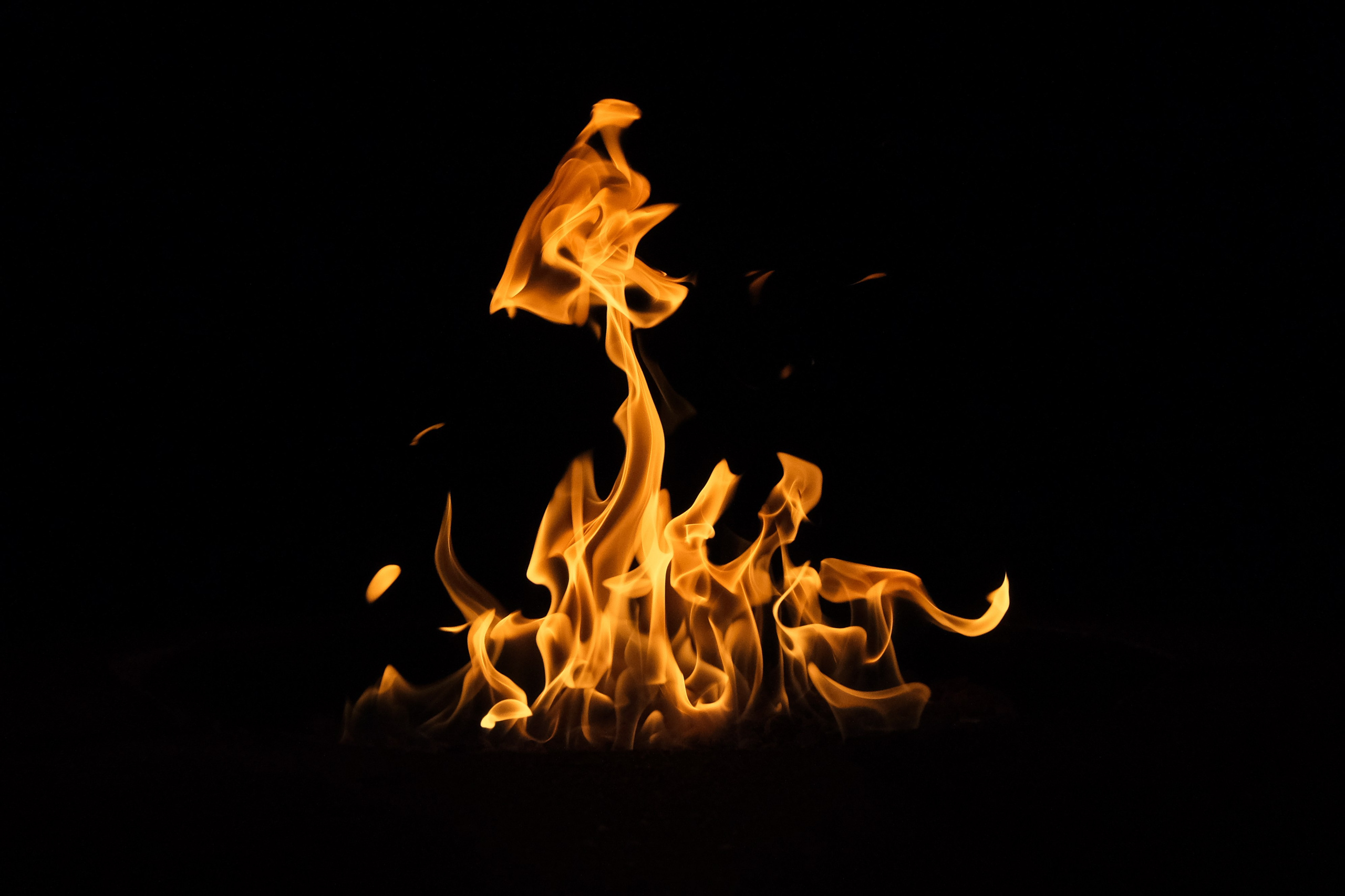 VATRA. Reportage concert portrait photography in the San Francisco Bay Area