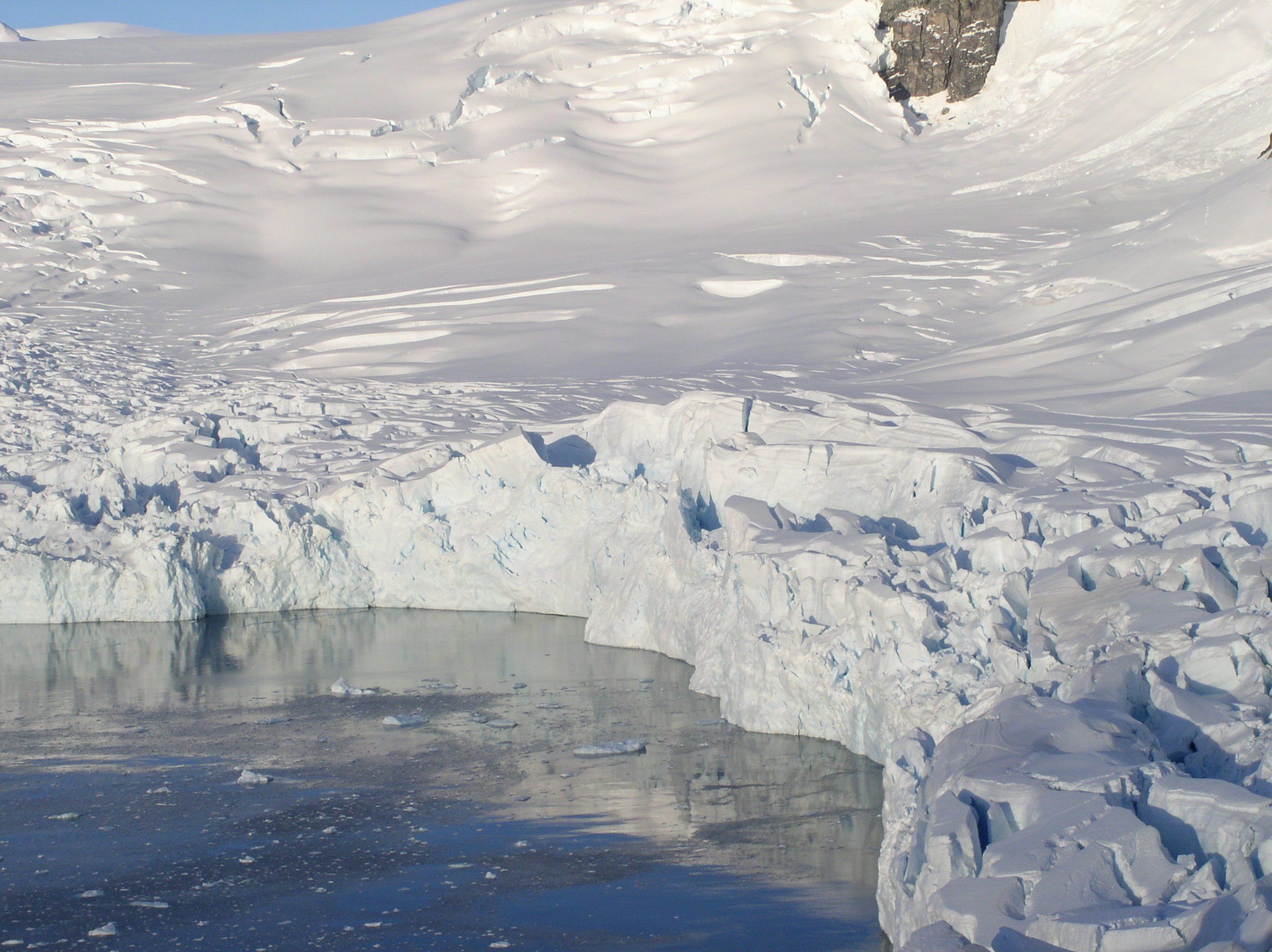 ANTARCTICA. Reportage concert portrait photography in the San Francisco Bay Area