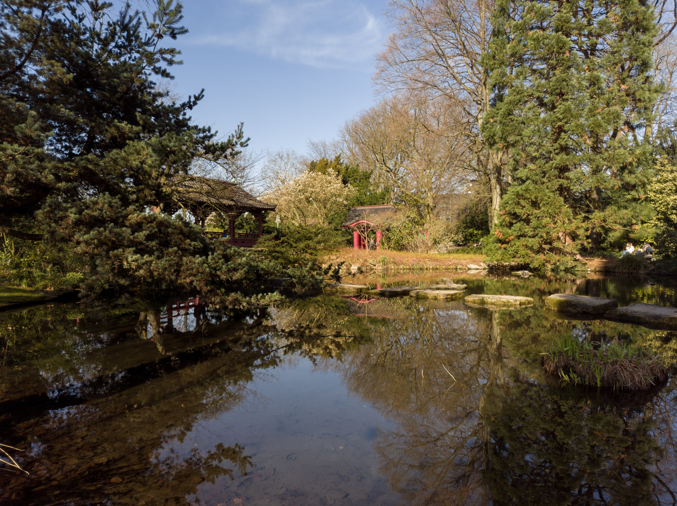 Cologne (Germany) Leverkusen. Fotograf in Köln, Bonn, Düsseldorf, Krefeld