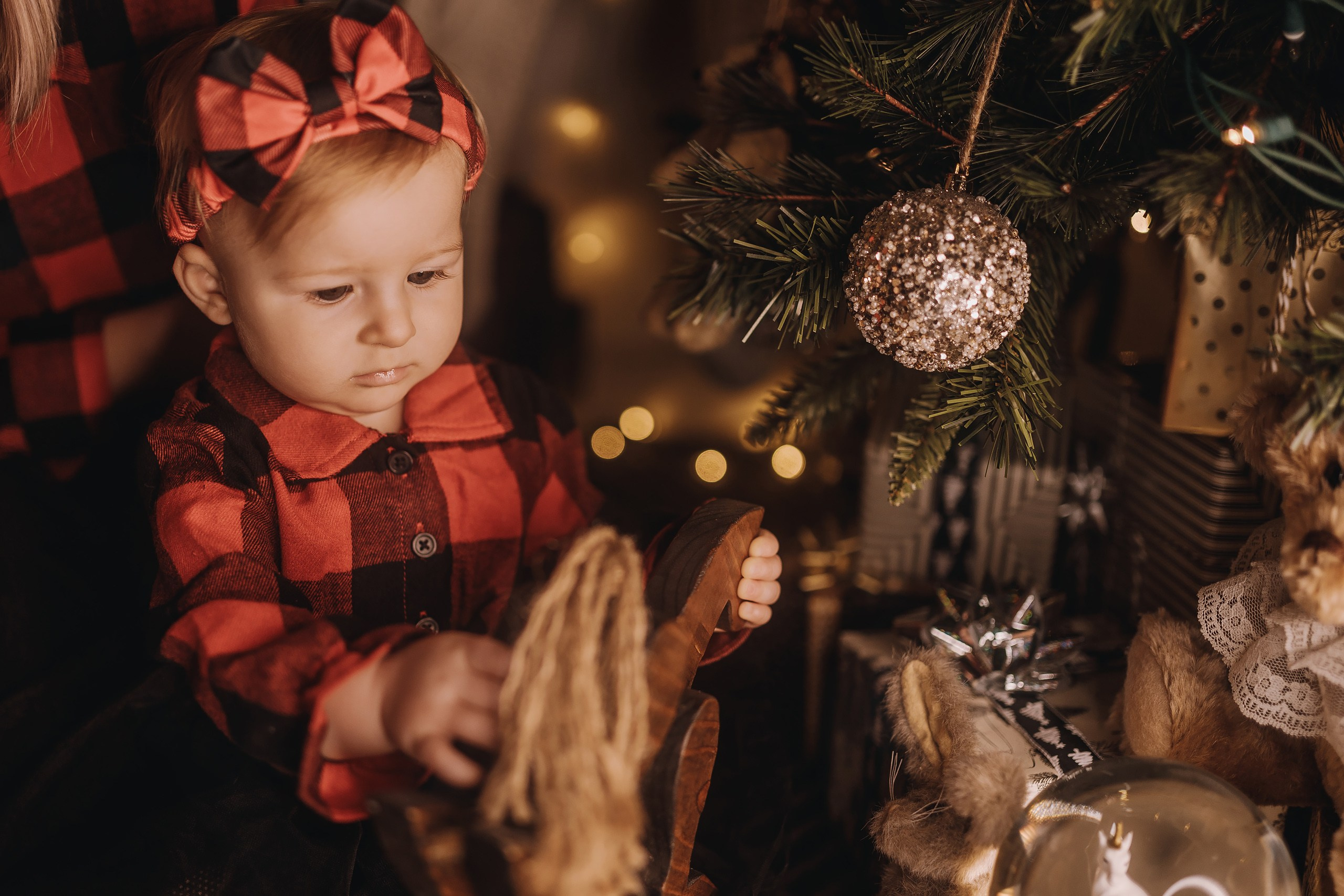 25.11.2023 Christmas Photoshoot 1. Wedding family event photographer in Chicago Nick Yushevich