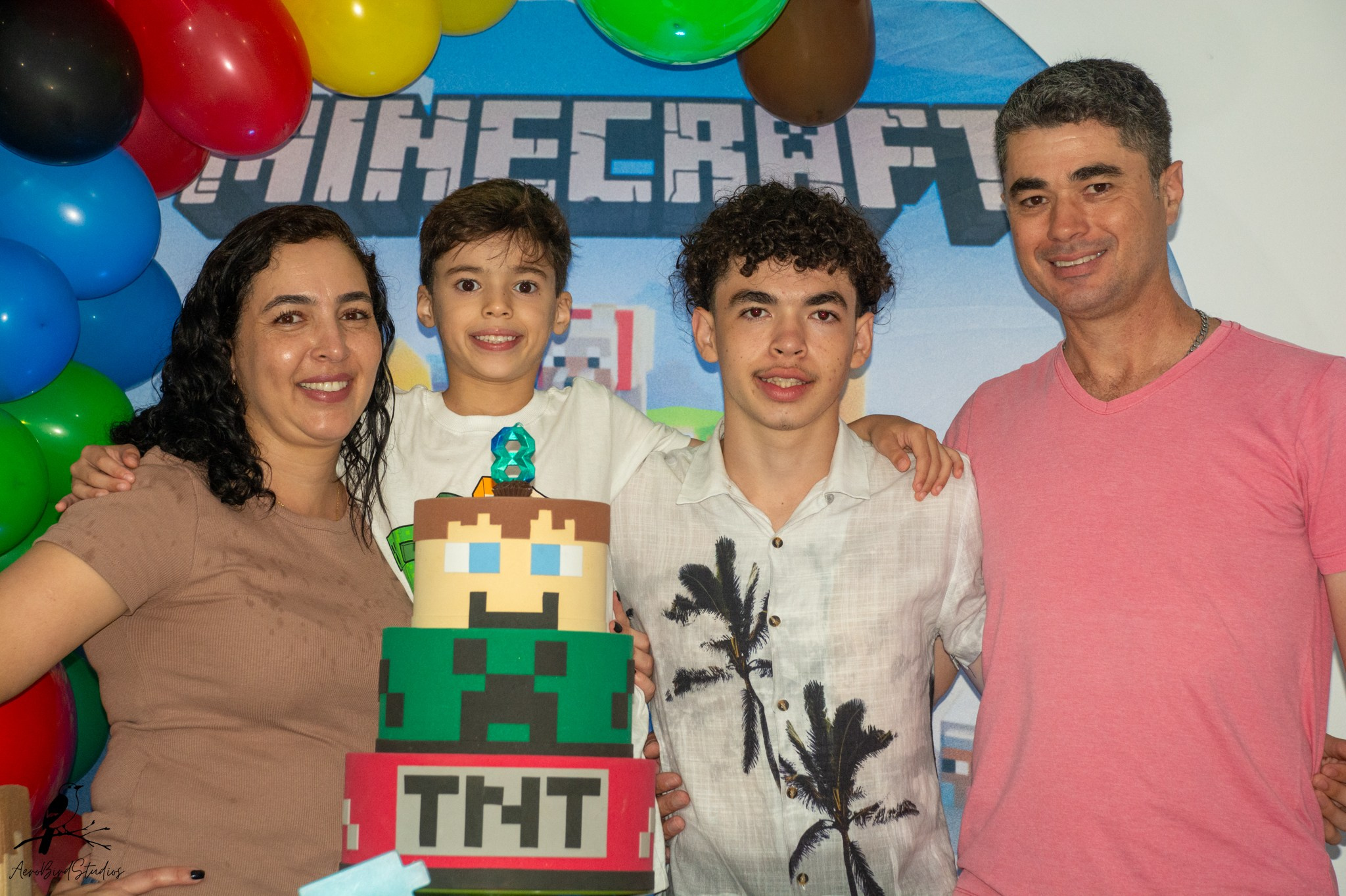 Leonardo 8 ano. AerobirdStudios