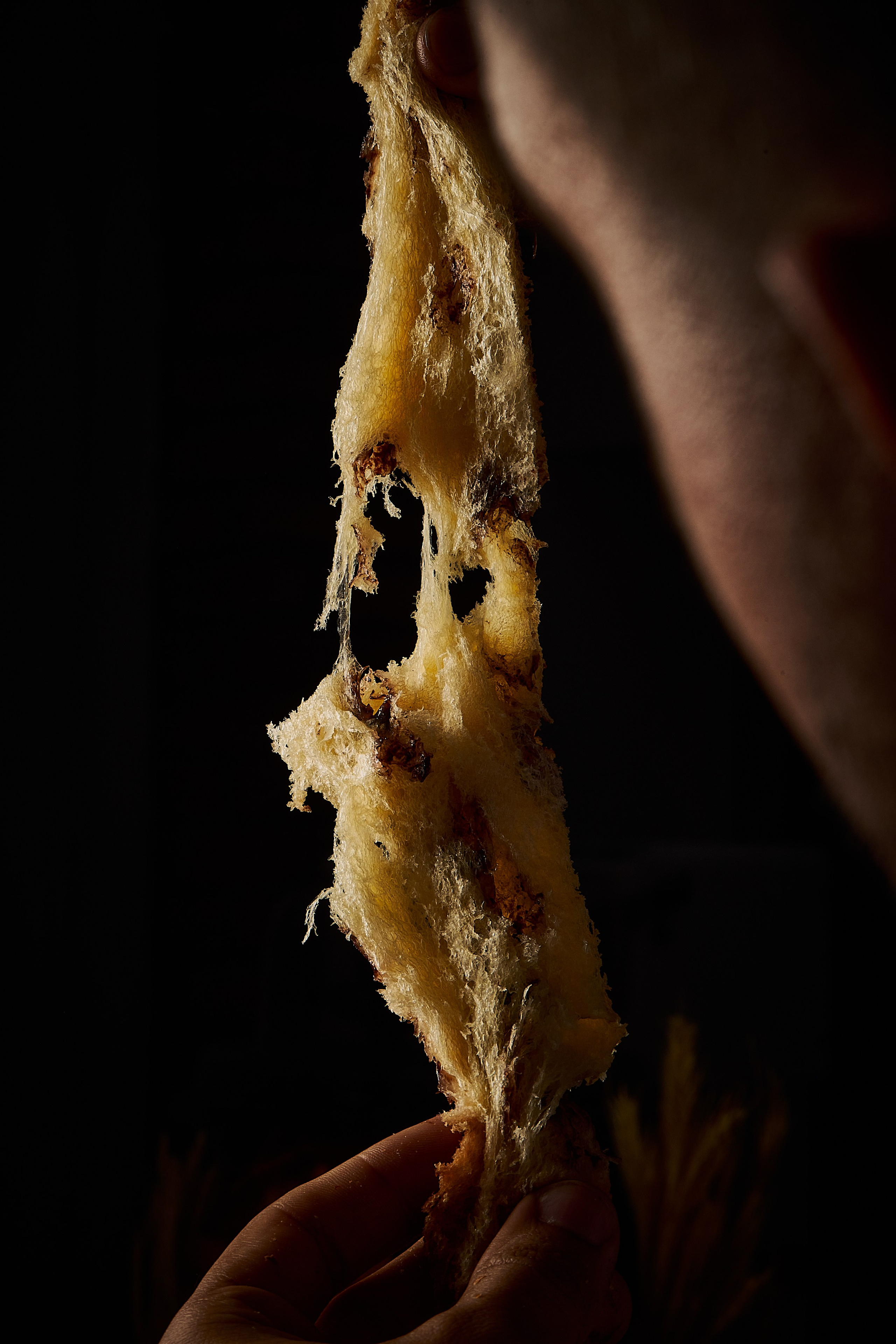 Fotógrafo de Gastronomia Rodolfo Regini