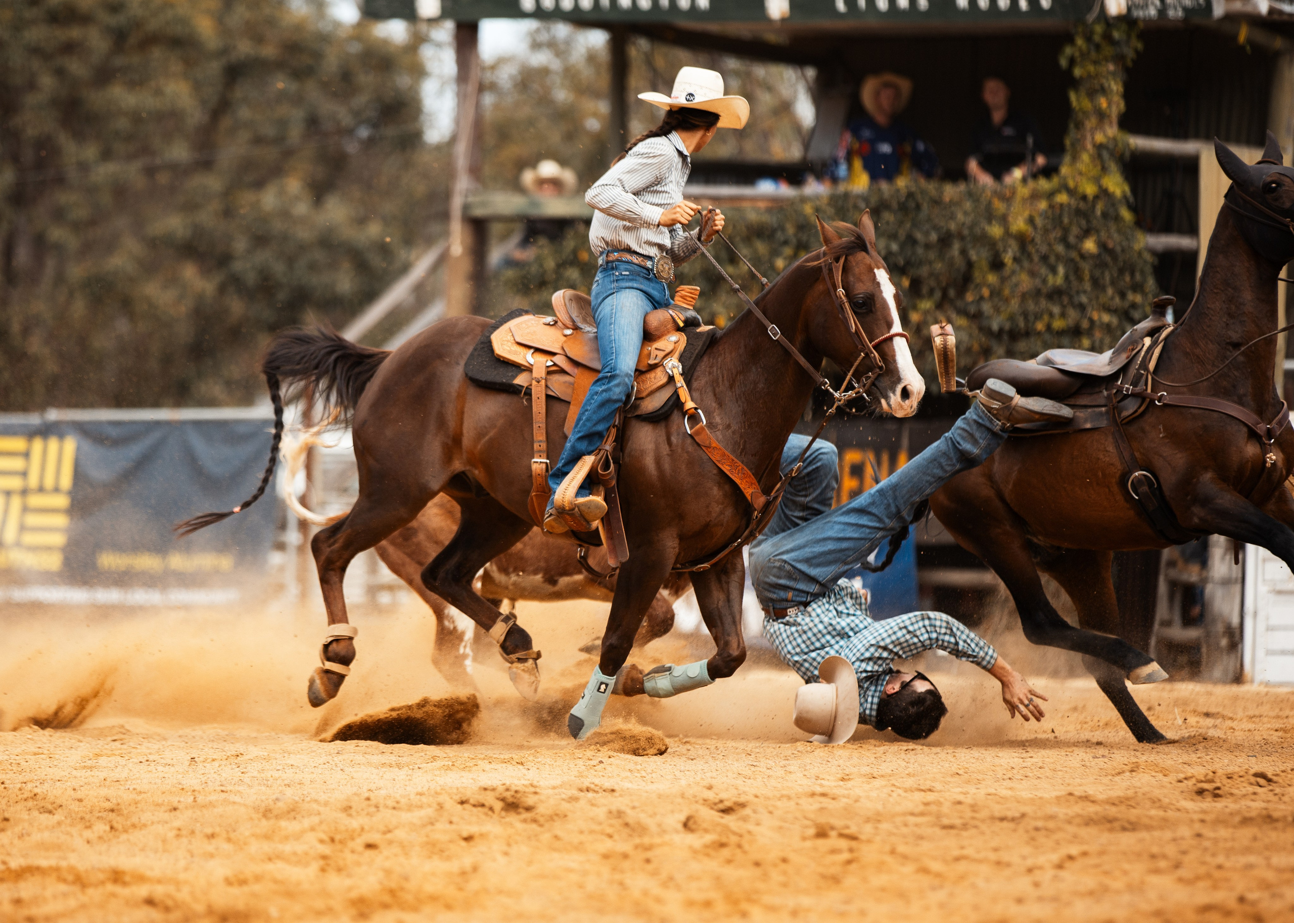 Selection of photos from different rodeos