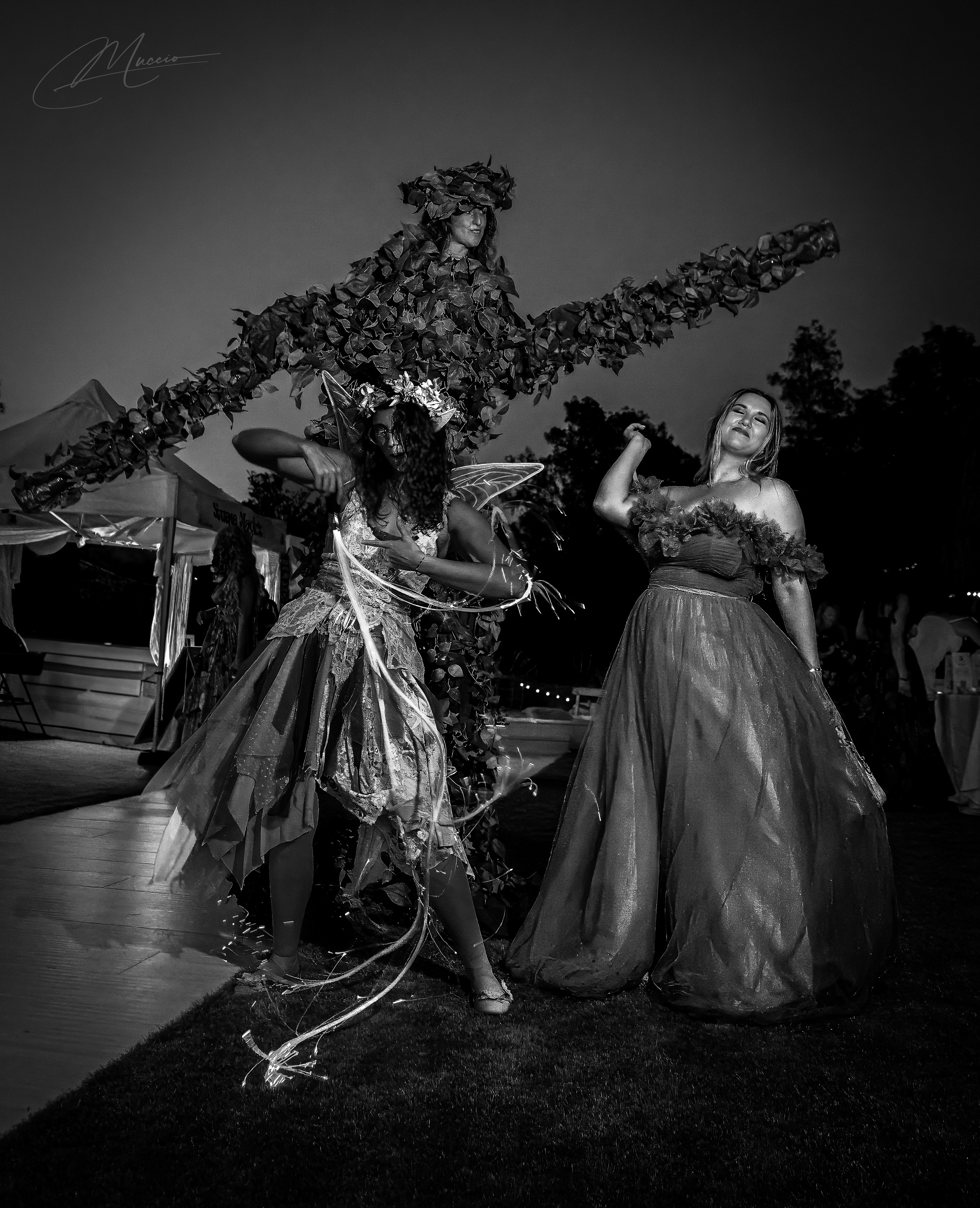 Black and White. Out and About 239