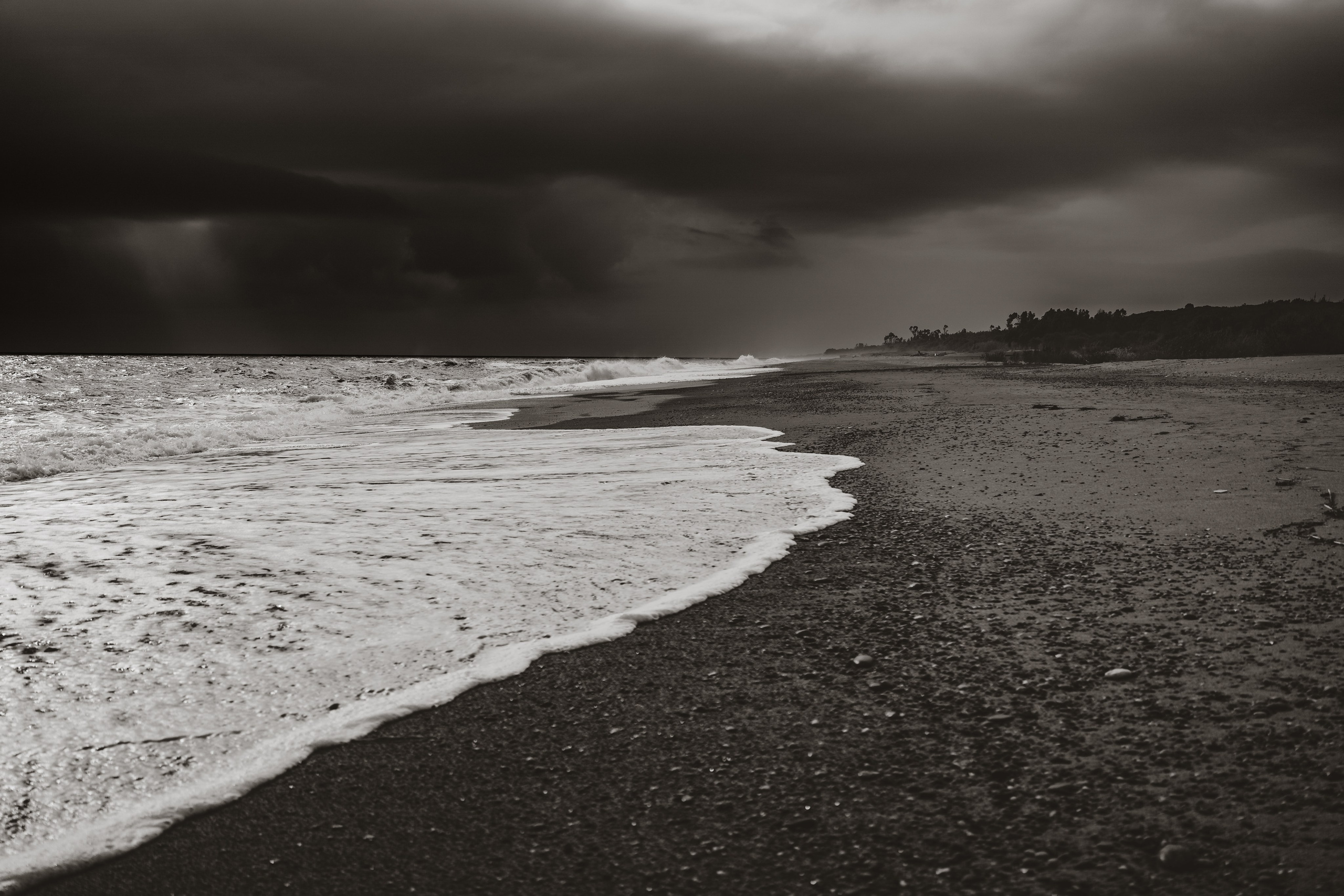 Naturalistica. Frank Prochilo Photography